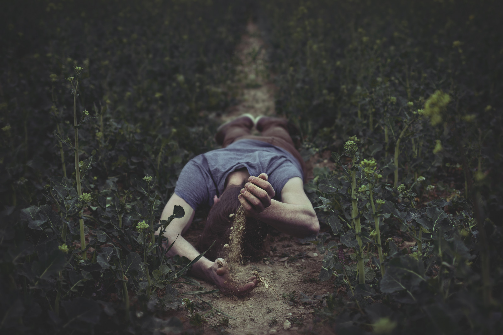 slunečnímu záření, les, portrét, Příroda, tráva, fotografování, zelená, čas, stojící, džungle, emoce, 100, 2014, strom, rostlina, dívka, zábava, fotografie, tma, dobrodružství, chlap, březen, mužský, já, projekt, momentka, zálesí, půda, dřevina, interakce, zastavil, rene, Silbernagel