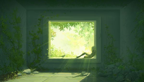plant,window,rectangle,building,fixture,branch