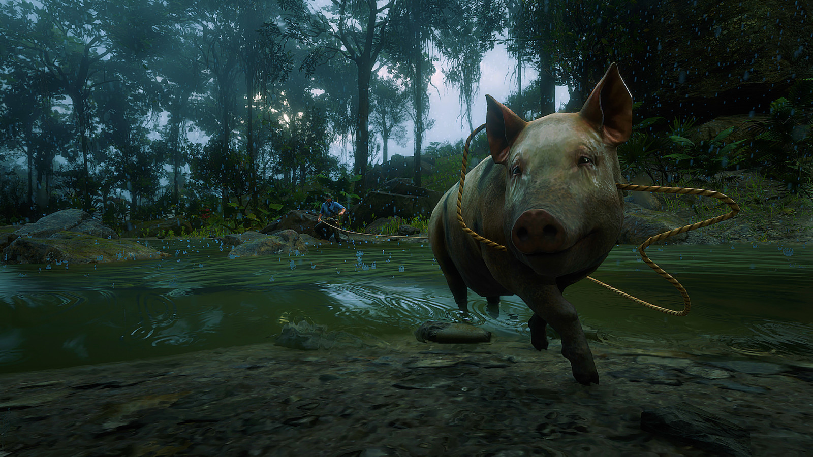 แรด, น้ำ, ต้นไม้, Indian Rhinoceros, เหลือง, terrestrial animal, หญ้า, จมูก, ปลูก, ครีบ, แนวนอน, ท้องฟ้า, ใต้น้ำ, Natural landscape, ชีววิทยาทางทะเล, ปลา, ไม้, ป่า, การพักผ่อนหย่อนใจ, สร้อย, ป่า, Black rhinoceros, สัตว์ป่า, หาง, สัตว์เลี้ยงลูกด้วยนมในทะเล