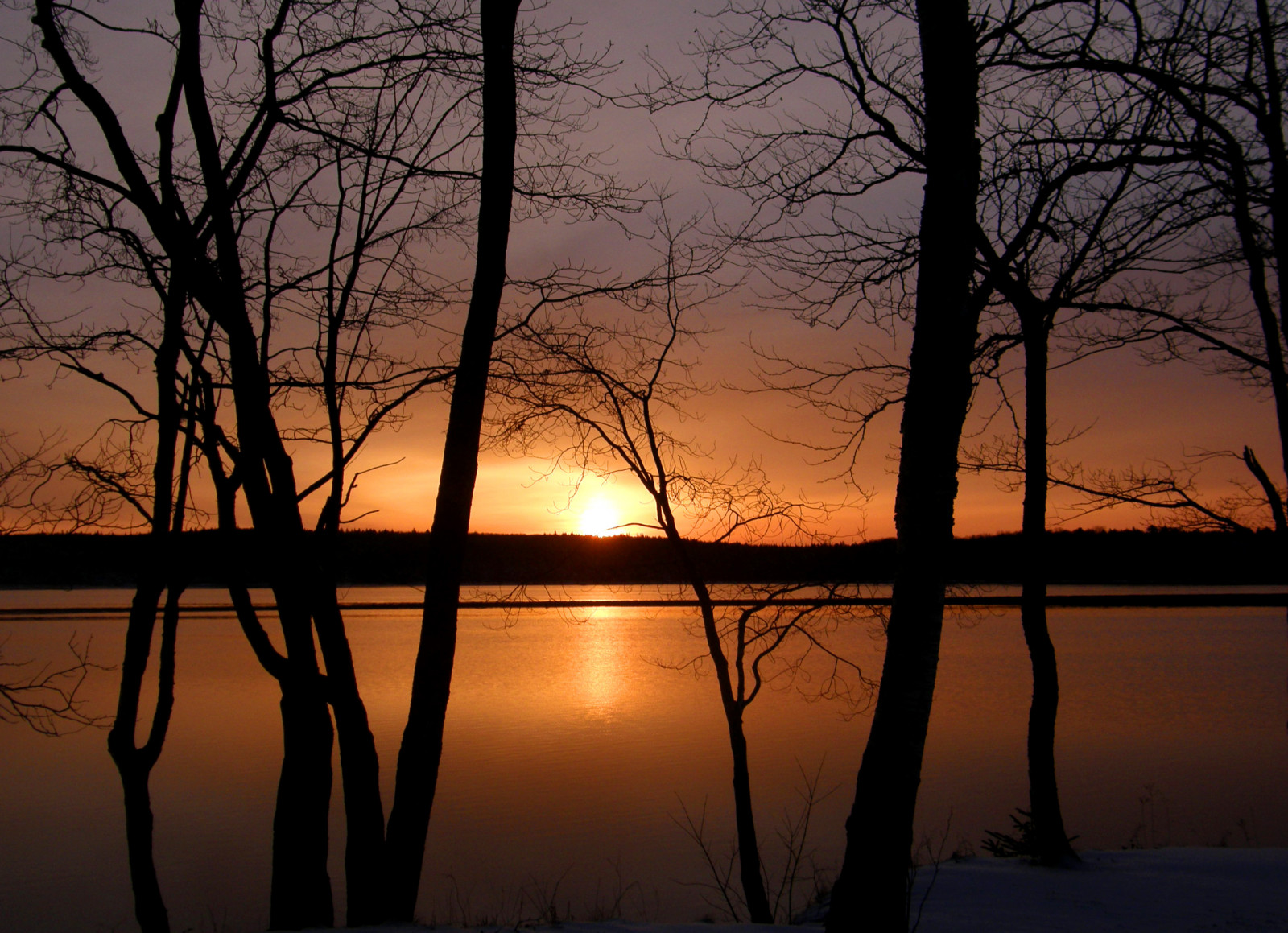światło słoneczne, zachód słońca, Natura, odbicie, gałąź, wschód słońca, wieczór, ranek, Słońce, zmierzch, drzewo, świt, Thegoldproject, Zjawisko atmosferyczne, poświata, Drzewna roślina, Yarmouthnovascotia