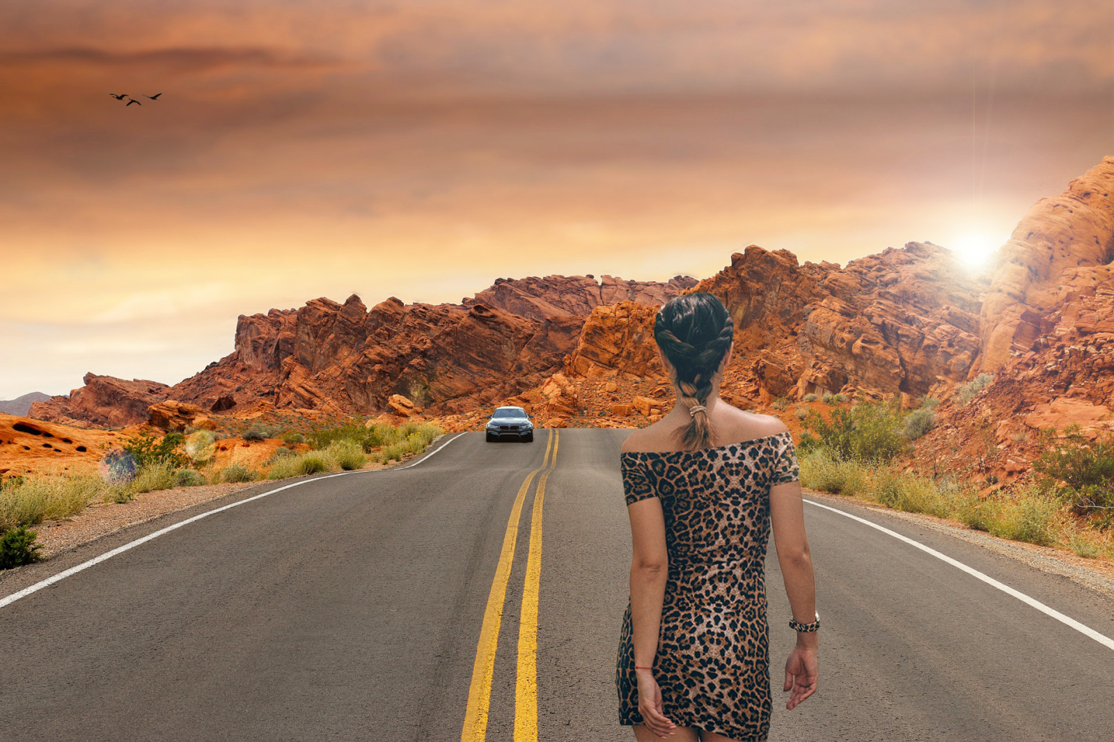 krajina, model, západ slunce, auto, silnice, večer, ráno, slunce, poušť, turistika, Volný, uvolnit, soubor, infrastruktura, podzim, hora, Páni, sezóna, fotografie, skladem, CC, digitální, přistát, stažení, tvořivý, složení, brilantní, prostý lid, skládání, háček, remix, přisuzování