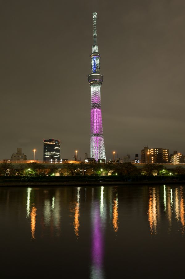 Japan,night,city,cityscape,architecture,reflection