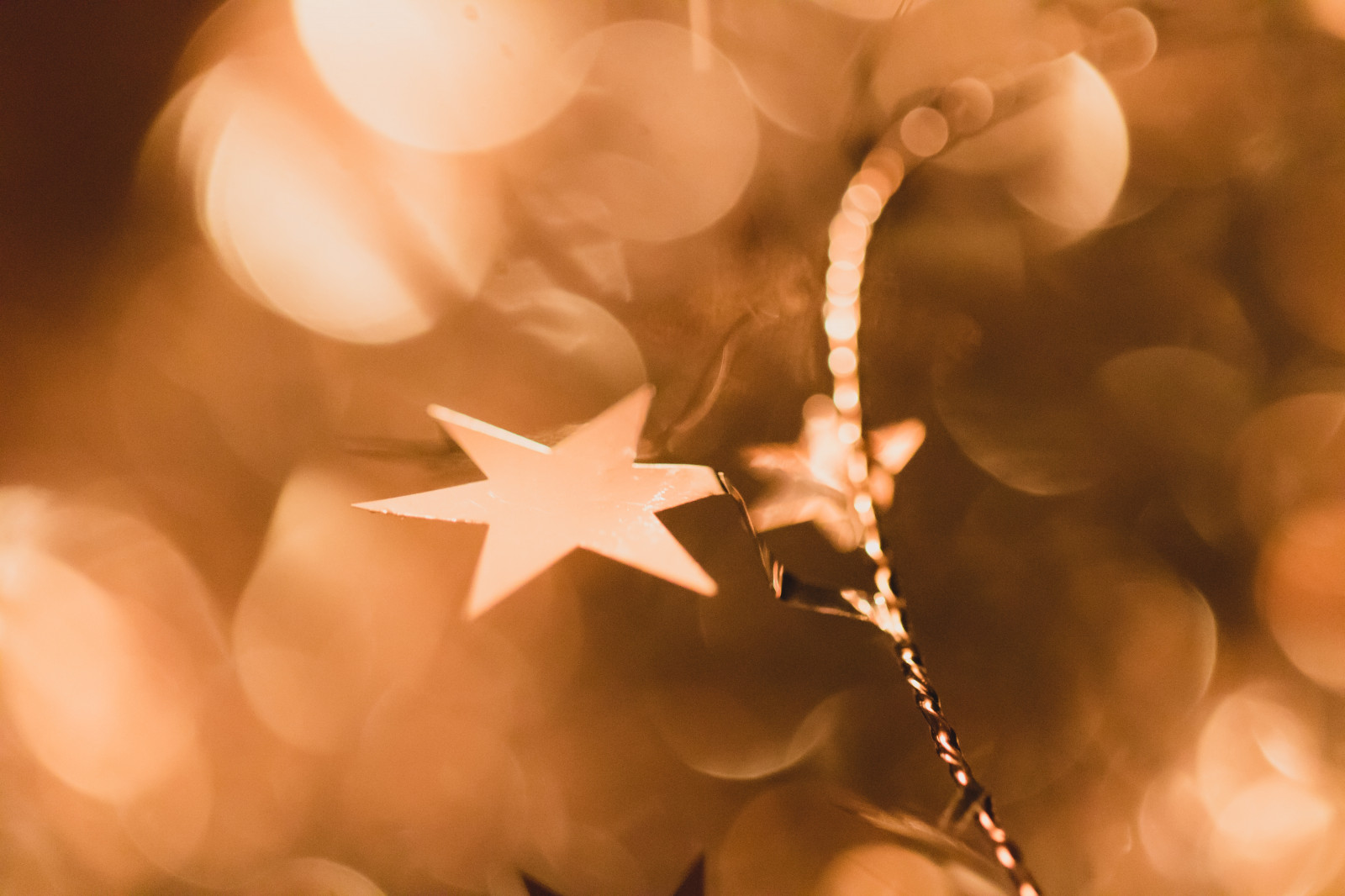 slunečnímu záření, světlo, barva, list, květ, osvětlení, ruka, slavnostní, hvězda, STJ rna, okvětní lístek, festlig, orgán, zblízka, makro fotografie