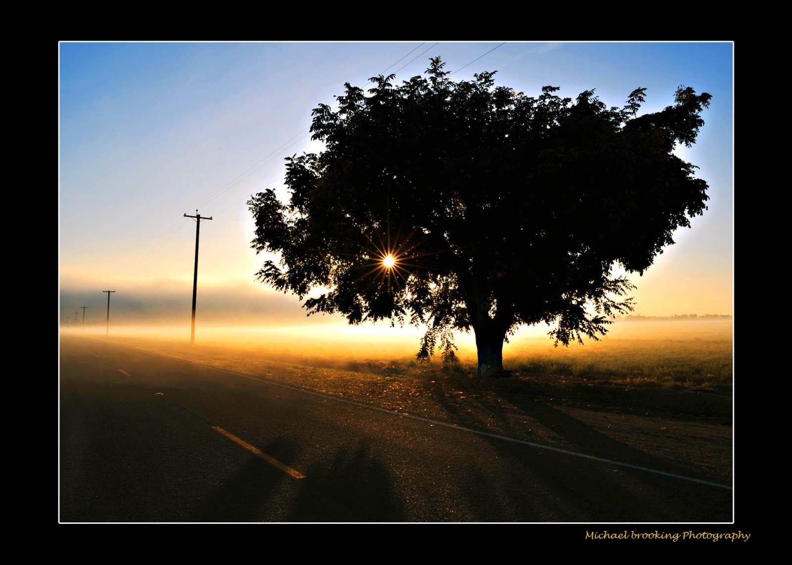 Wallpaper road, morning, Sun, tree, sunshine, fog, aplusphoto
