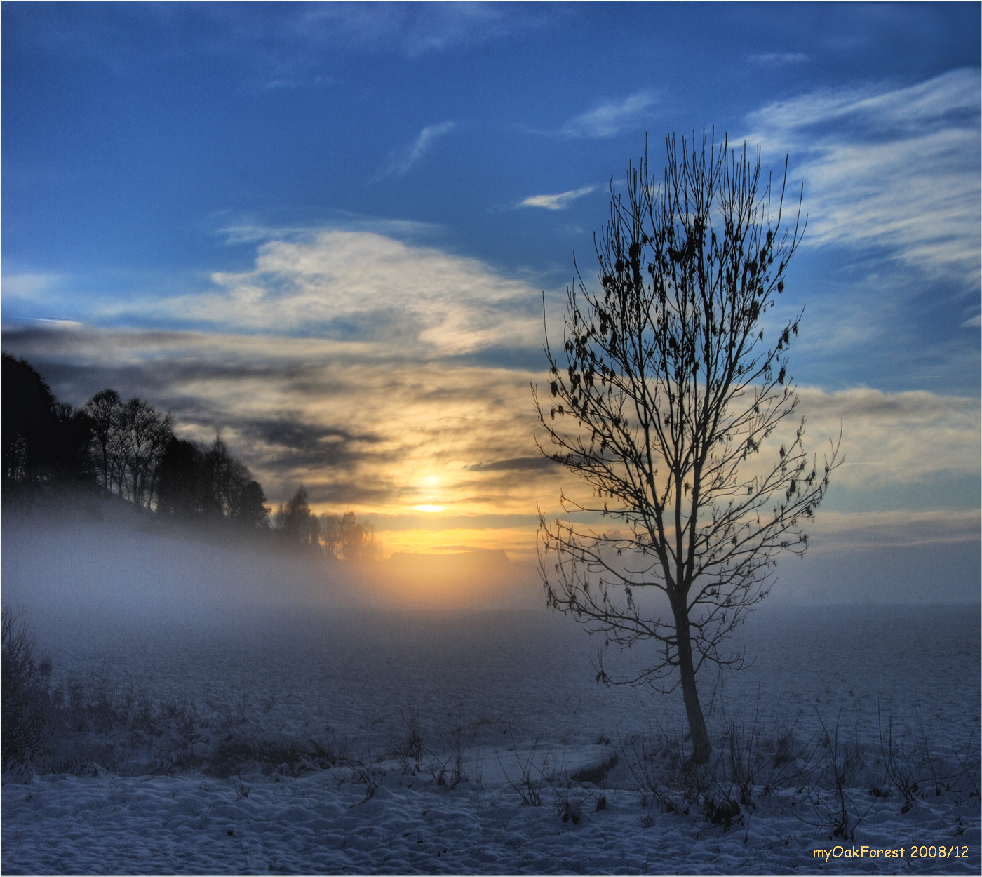 slunečnímu záření, krajina, západ slunce, Příroda, odraz, nebe, sníh, zima, svítání, večer, ráno, mlha, mráz, horizont, atmosféra, soumrak, zmrazení, venkovský, mrak, strom, mlha, hora, počasí, svítání, sezóna, sonnenuntergang, theunforgettablepictures, aplusphoto, Nebel, l ndlich, atmosférický jev, dřevina, horských reliéf, Dunst, myoakforest