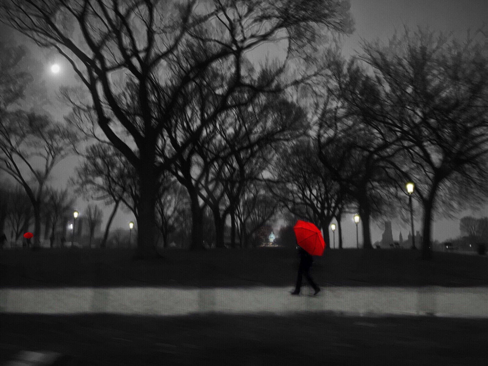 stromy, světla, bílý, Černá, černobílý, noc, Červené, sníh, zima, deštník, Měsíc, večer, ráno, řeka, Šedá, sama, iPhone, soumrak, chůze, iPad, představ si, DC, světlo, strom, národní, flickr, washington, capitol, počasí, sezóna, nákupní centrum, nás, tma, zajímavost, že, atmosférický jev, Černý a bílý, monochromatické fotografování, dcist, flickrriver, aeleazer, greydaynwwashington, dcredumbrella