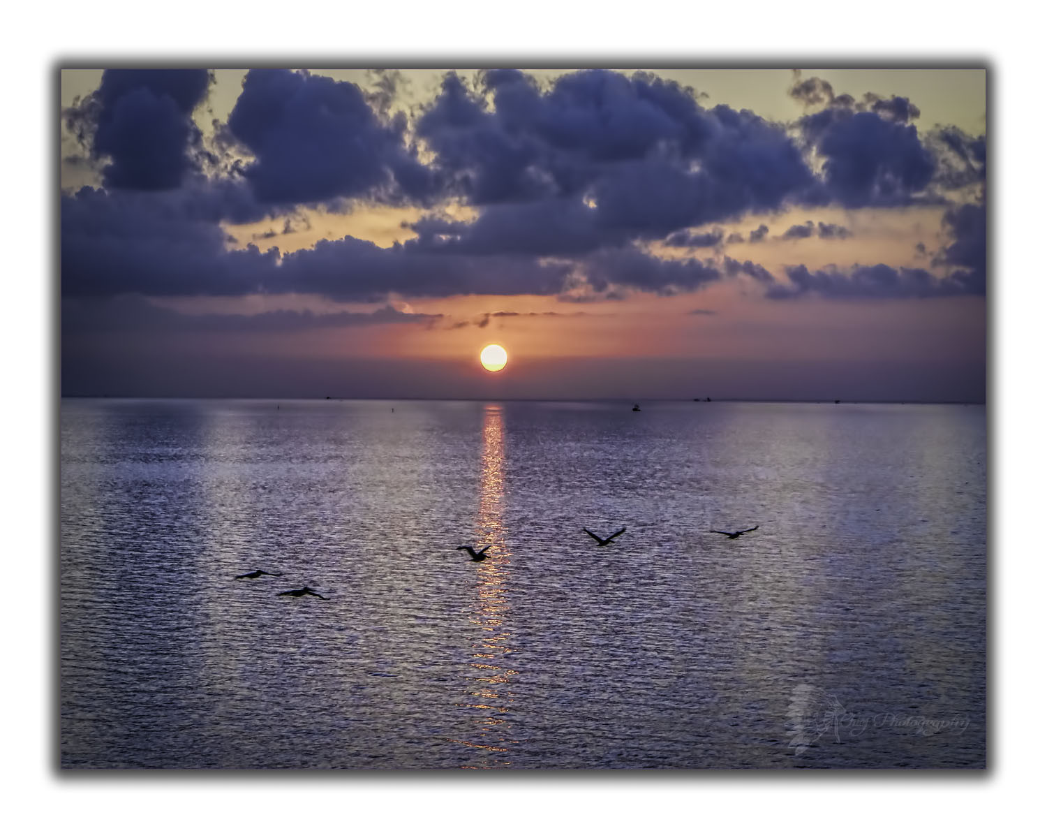 skib, fugle, solnedgang, vand, himmel, skyer, solopgang, dyreliv, horisont, mole, fiskeri, Texas, Houston, fabelagtig, Havn, krydstogt, fantastisk, vandveje, rejser