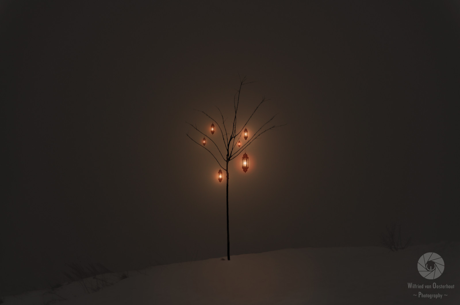 Wallpaper light, snow, cold, tree, fog, 35MM, dark, candles, glow