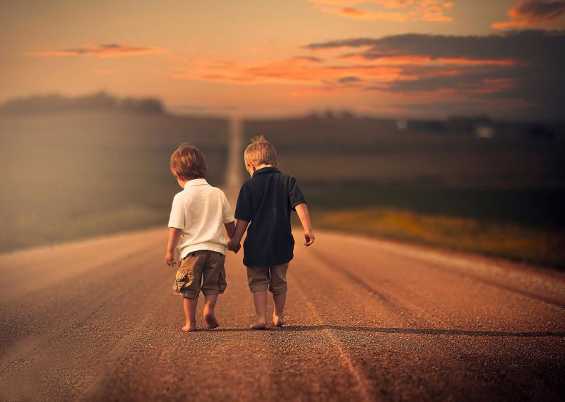 sunlight, sunset, children, nature, sunrise, evening sunlight, sunset, children, nature, sunrise, evening