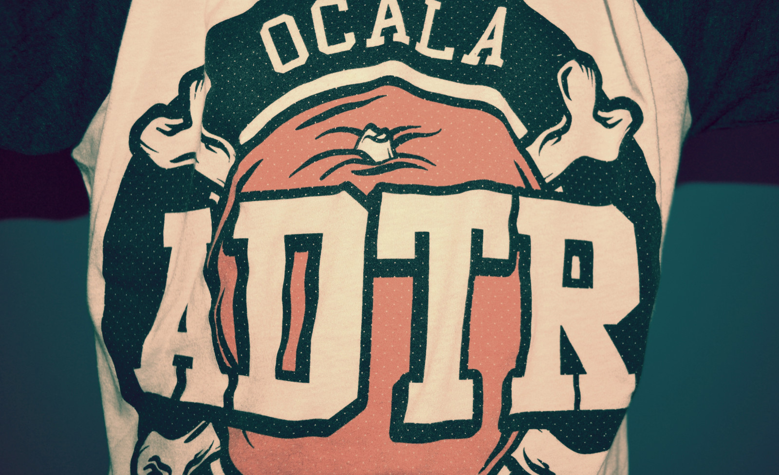 ilustrace, tričko, košile, oranžový, ostatky, lebka, Nikon, plakát, Upravit, GIMP, oblečení, 2011, UMĚNÍ, den, chladný, D3100, lomo, účinek, křivky, tričko, pamatovat, koncert, fl, čtvrťák, délka, Ocala, adtr