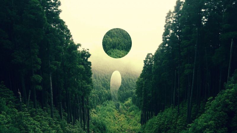 sunlight, landscape, forest, digital art, abstract, nature sunlight, landscape, forest, digital art, abstract, nature