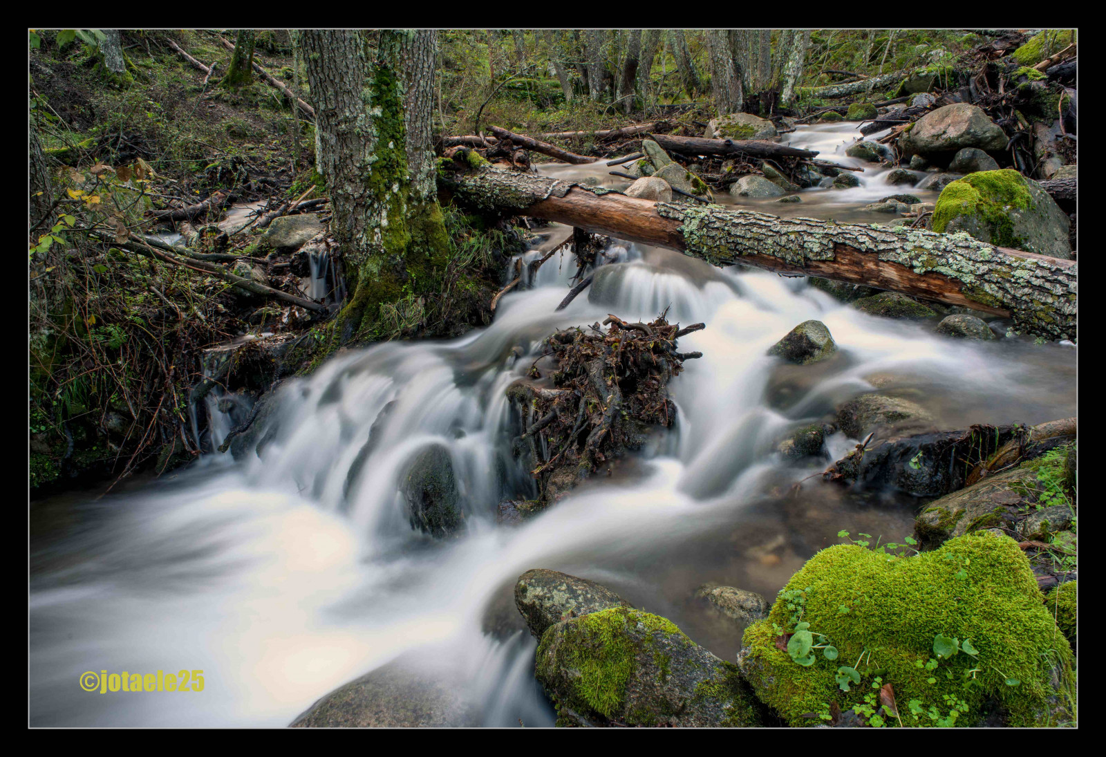 Wallpaper : waterfall, watercourse, body of water, vegetation, nature ...
