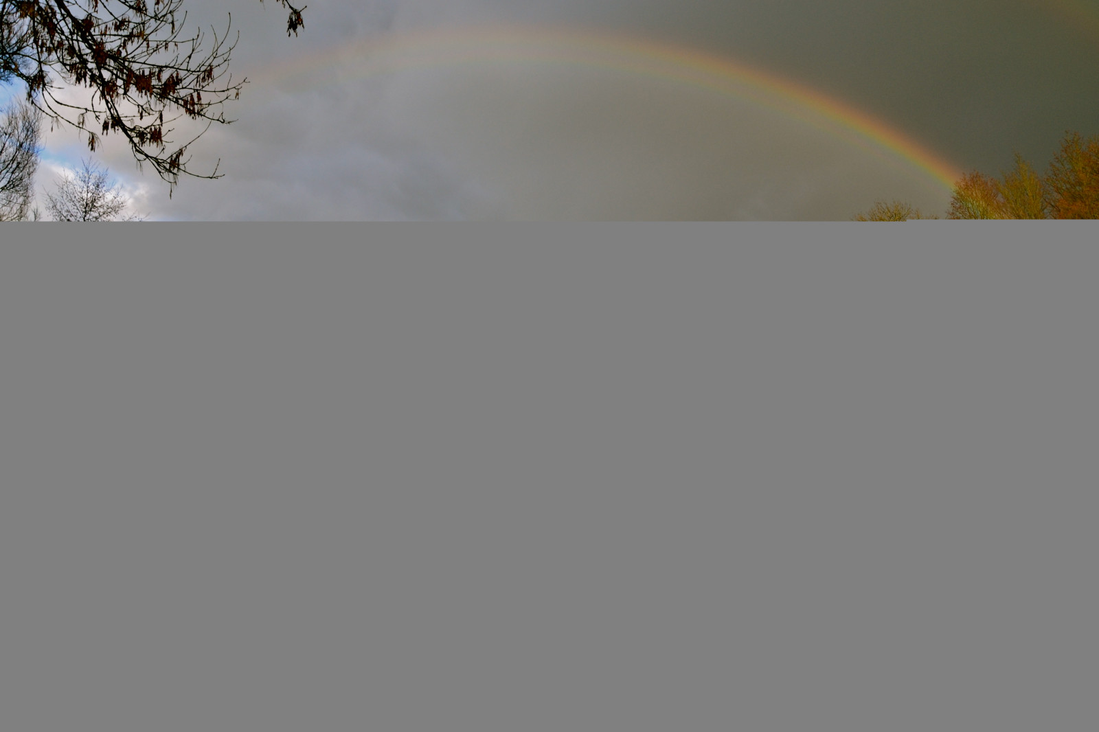 stromy, hrad, voda, mraky, Německo, bayern, deutschland, Bavaria, duha, wasser, mraky, Franky, franken, schloss, b UME, zámek, regenbogen, arcenciel, Thurnau, nikond3100