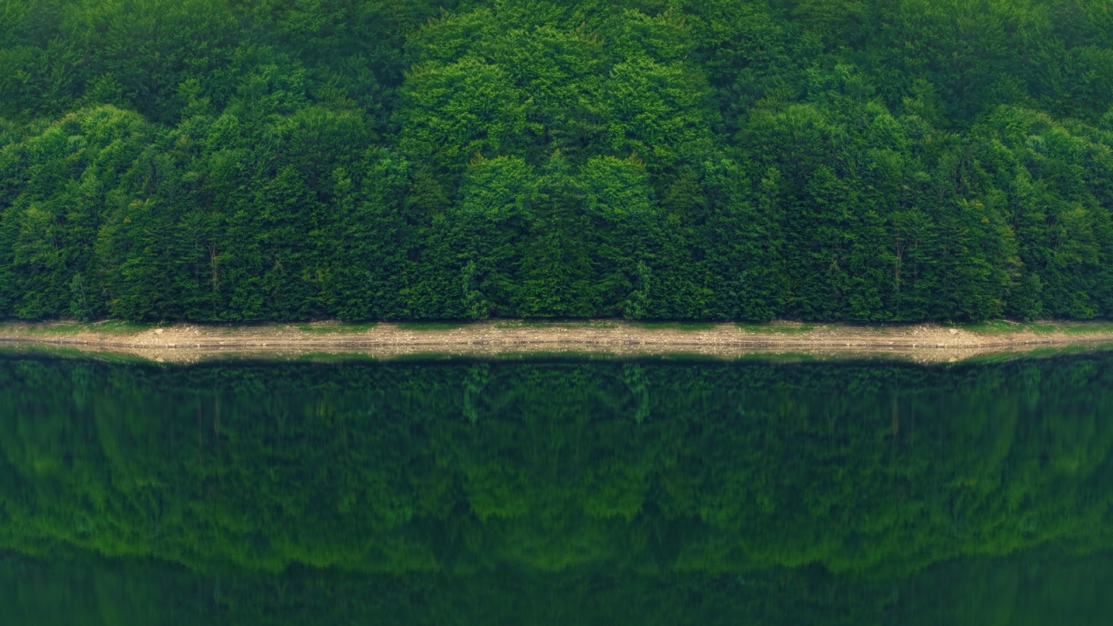 stromy, krajina, les, Photoshop, kopec, Příroda, odraz, tráva, pole, fotografování, zelená, řeka, rybník, Monzun, mokřadní, strom, list, lučina, rostlina, vegetace, zemědělství, plantáž, nádrž, půda, bažina, venkov, místo výskytu, přírodní prostředí, atmosférický jev, dřevina, letecké snímkování, ekosystém, tráva rodina, neloupané pole