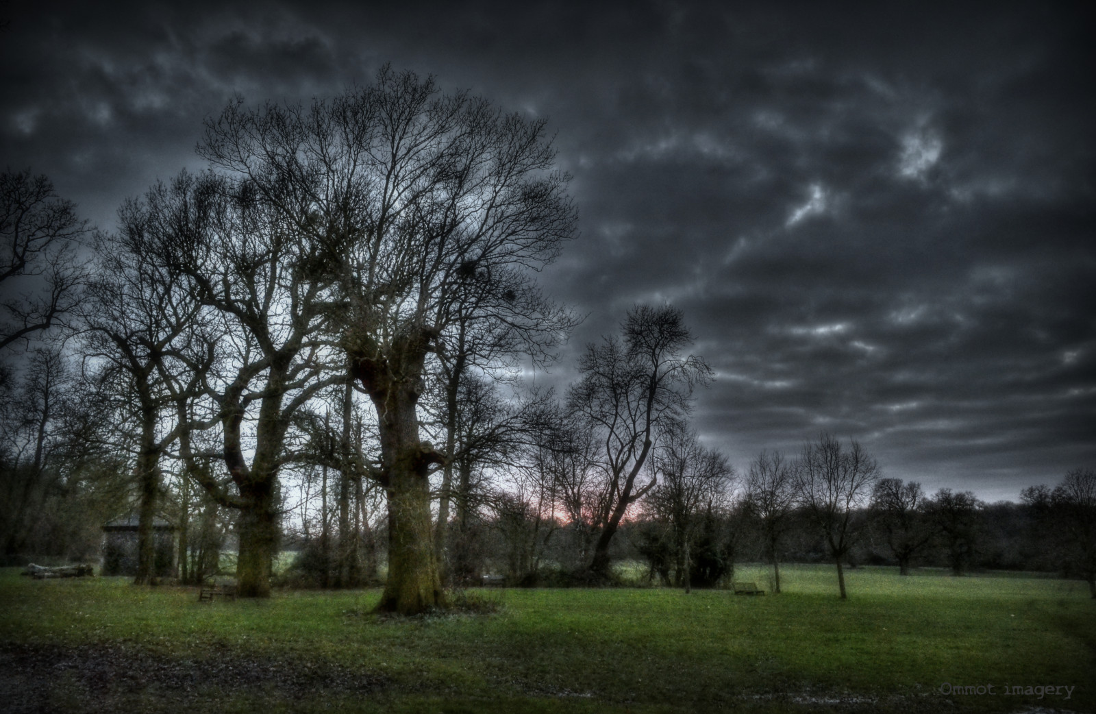 slunečnímu záření, stromy, krajina, les, černobílý, temný, noc, Příroda, tráva, nebe, park, zima, pole, fotografování, větev, bouřka, večer, ráno, horizont, atmosféra, Nikon, soumrak, jaro, mrak, bouřlivý, strom, svítání, rostlina, D3100, tma, temná obloha, louka, ilobsterit, Essex, zálesí, háj, počítač tapeta, Atmosféra Země, Černý a bílý, monochromatické fotografování, dřevina, meteorologický jev, park, jev, stormysky, Chelmsford, ommotimagery, wintersky, hylandspark