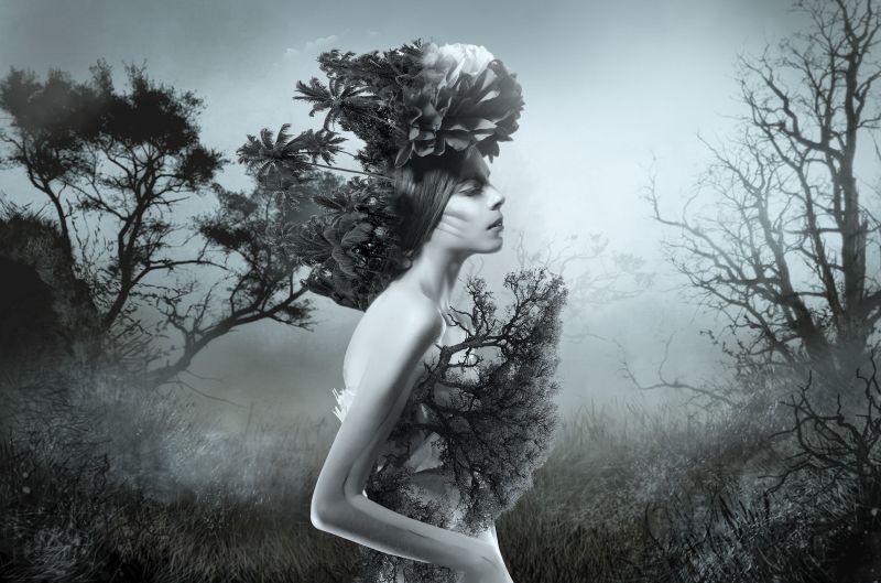 slunečnímu záření, bílý, ženy, černobílý, fantasy umění, les slunečnímu záření, bílý, ženy, černobílý, fantasy umění, les
