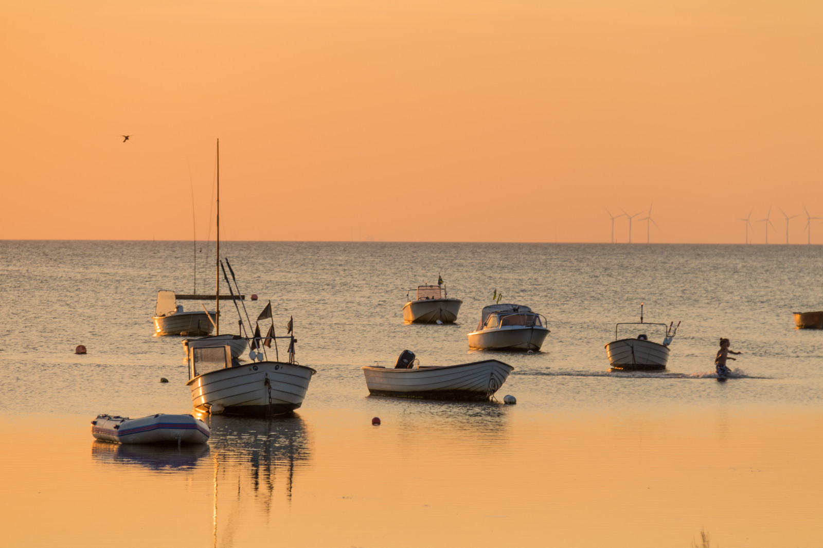 loď, západ slunce, moře, záliv, voda, pobřeží, písek, nebe, vozidlo, pláž, svítání, večer, ráno, pobřeží, horizont, soumrak, slunce, mrak, svítání, oceán, zlatá hodina, vlna, nebe, solnedg ng, vatten, fiskehoddorna, hav, b t, moln, h llviken, exif modelu canoneos760d, geocountry, Kamera aby kánon, geocity, Model fotoaparátu canoneos760d, geostate, geolocation, EXIF čočka efs18200mmf3556is, EXIF otvor 56, exif aby kánon, EXIF isospeed 100, exif focallength 150mm, gyllenetimmen, tělo z vody
