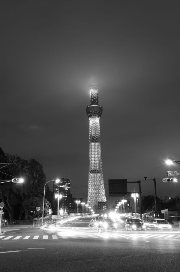 Japan,white,monochrome,city,cityscape,street light
