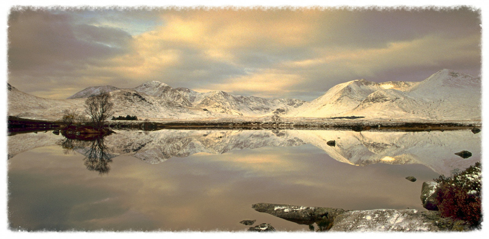 zima, sníh, Černá, voda, odrazy, skály, kůň, jezero, vřesoviště, Davidson, Rannoch, Greig