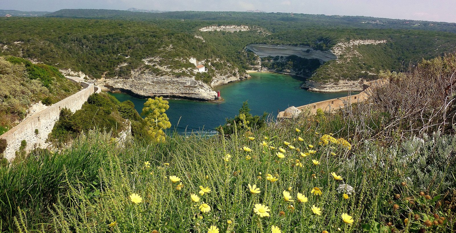 paesaggio, mare, lago, acqua, cielo, costa, fiume, Francia, Banca, paesaggio mount, Corsica, riserva naturale, viaggio, Landschaft, fiore, Esplorare, pianta, mar, alveo, vegetazione, Insel, prato, Corse, ile, Isola, cavalla, bonifacio, serbatoio, Mittelmeer, Frankreich, viaggi, Urlaub, laghetto, meer, reisen, roba66, Fiore di campo, isola, Korsika, corsicaisland, shrubland, Klippen, scarpata, Bunifaziu, Hafenstadt, S dkorsika, Oberstadt, Kalksteinfelsen, Kalksteinplateau, plant community