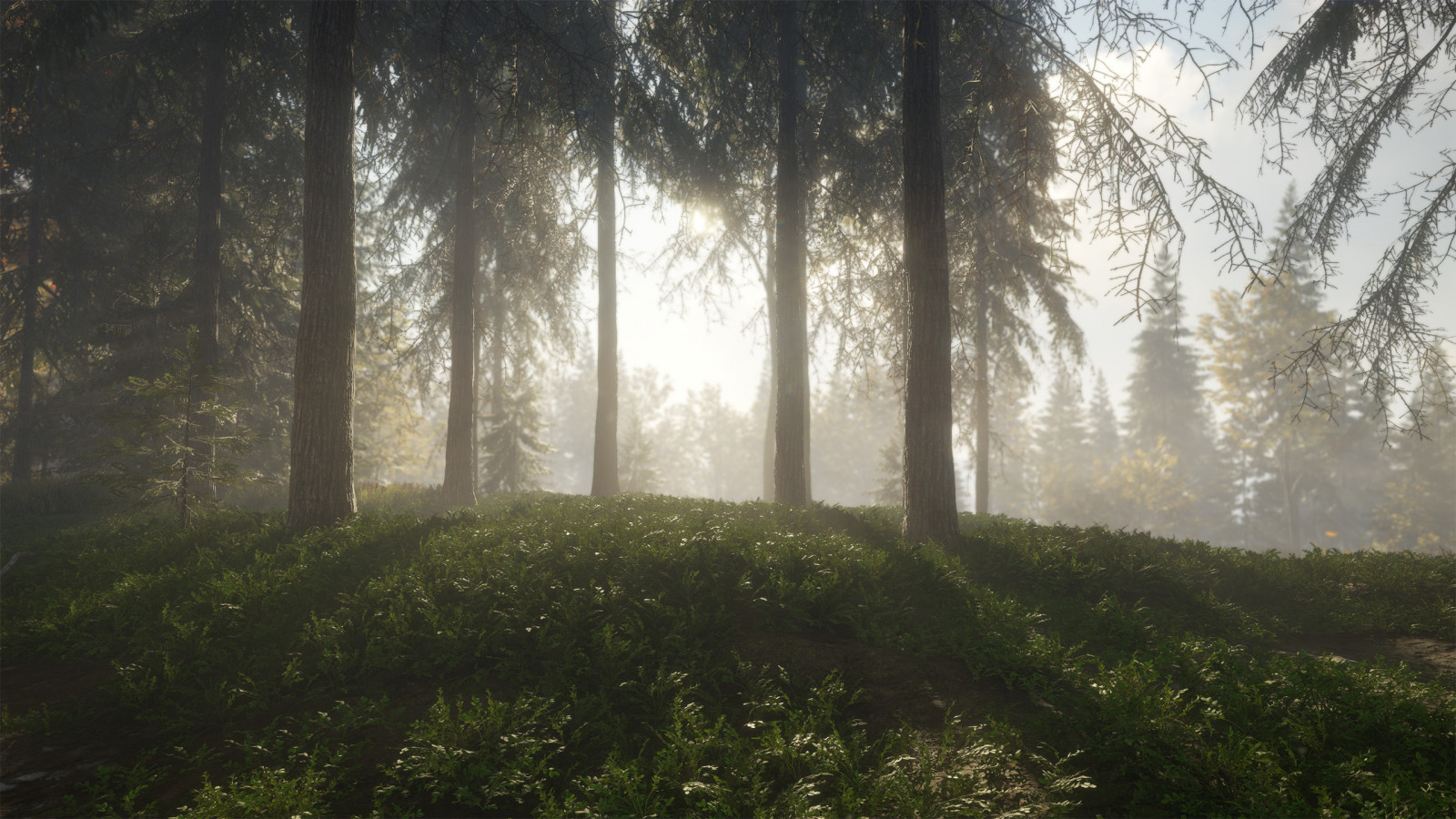 Video Game Art, näyttökuva, luonto, theHunter Call of the Wild