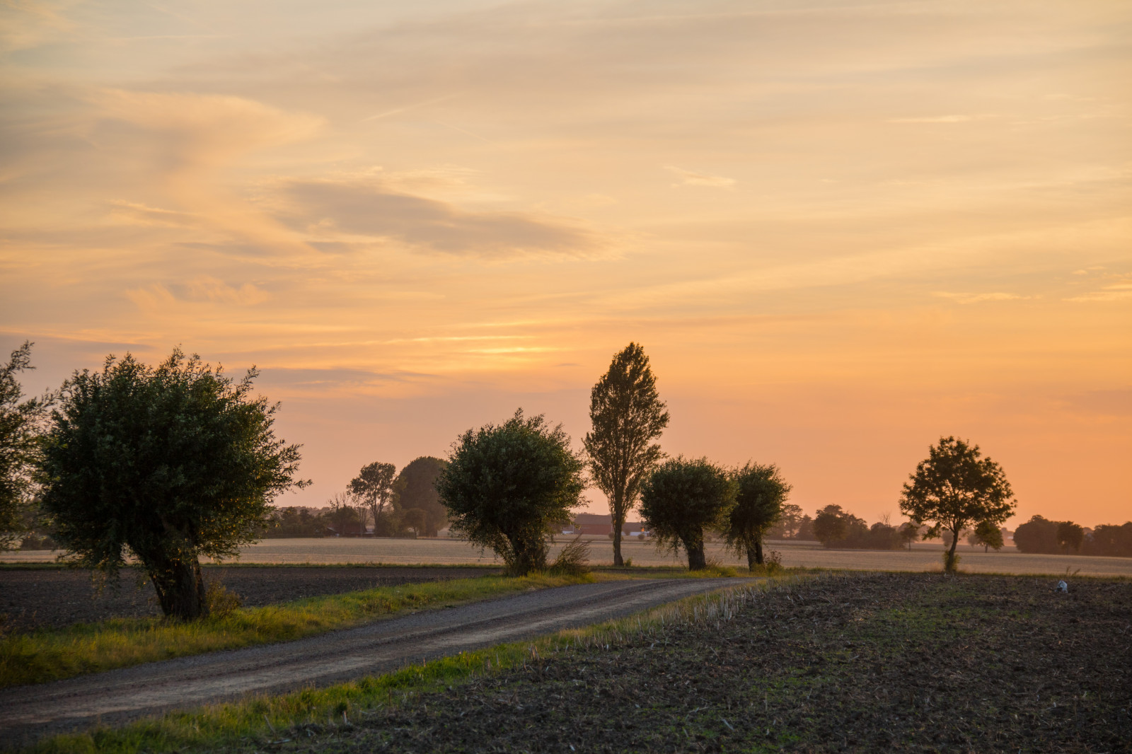 luce del sole, paesaggio, tramonto, collina, natura, cielo, campo, Alba, sera, mattina, orizzonte, crepuscolo, nube, albero, alba, ora d'oro, himmel, solnedg ng, tr d, campagna, moln, landsbygd, Landskap, modello canoneos760d exif, geocountry, Marca fotocamera Canon, Geocity, modello di fotocamera canoneos760d, geostate, geolocalizzazione, Lente exif efs18200mmf3556is, apertura exif 56, exif fare canon, exif ISOSPEED 100, exif focalLength 90 millimetri, gyllenetimmen, pianura, area rurale, fenomeno atmosferico, pianta legnosa