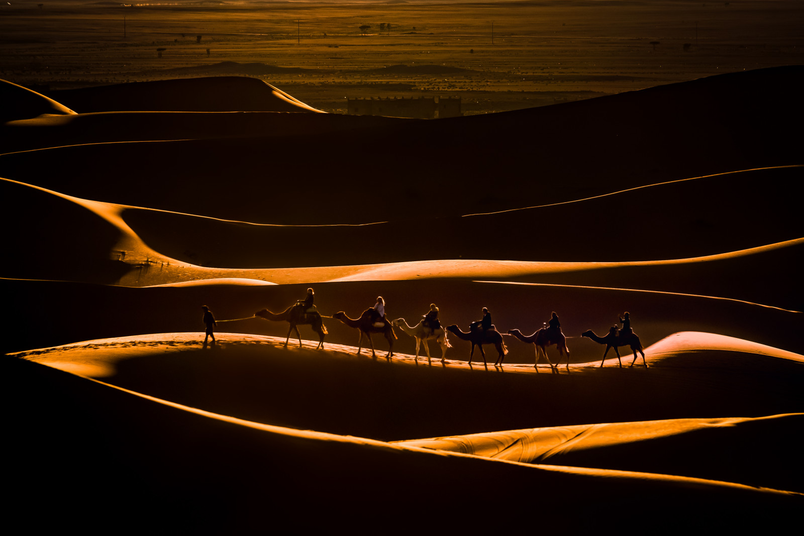Wallpaper : sunset, camel ride 4297x2868 - fple - 1926951 - HD ...