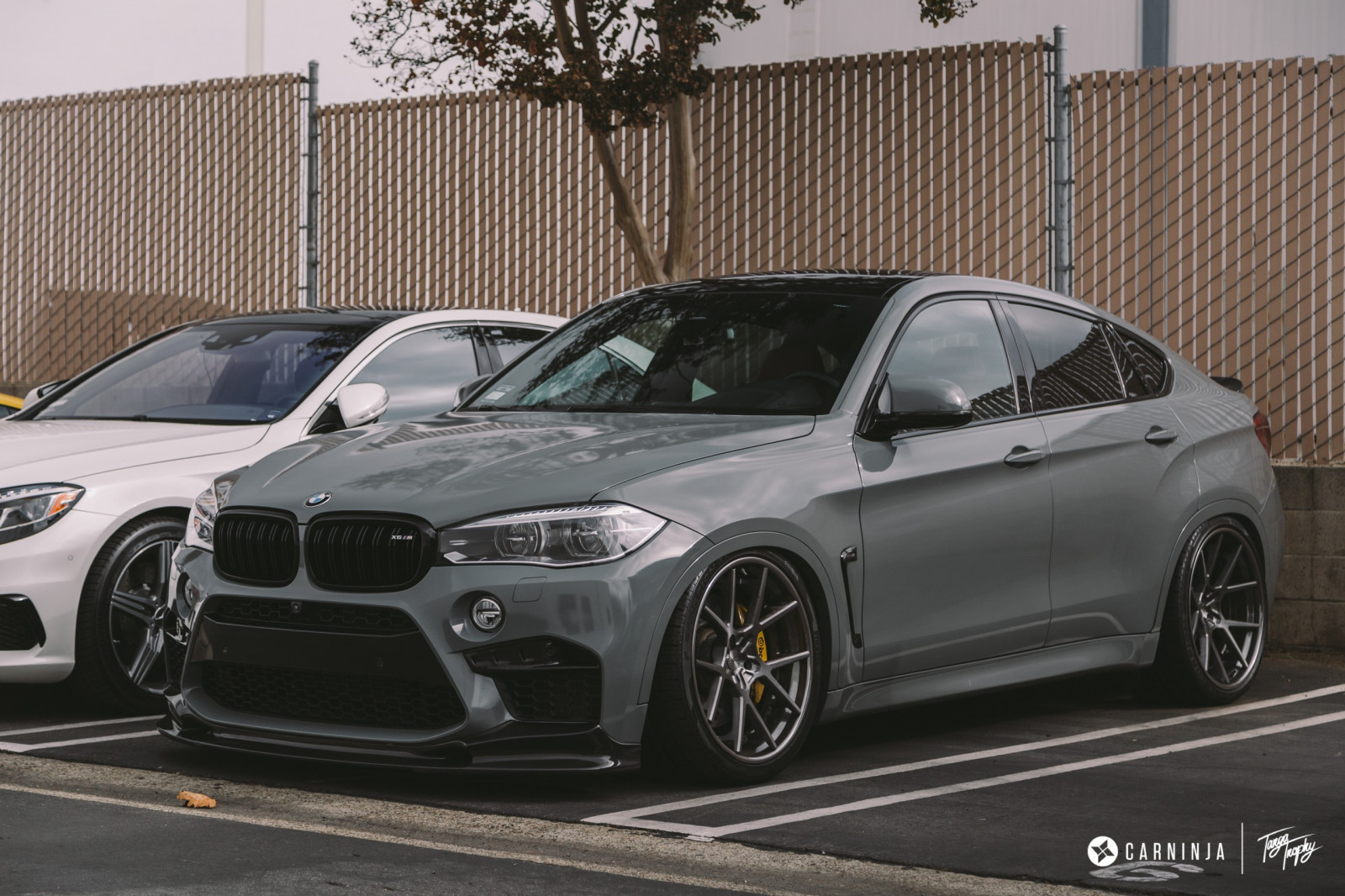 carninja, nízký, ulice, BMW x6, Wombat Typhoon
