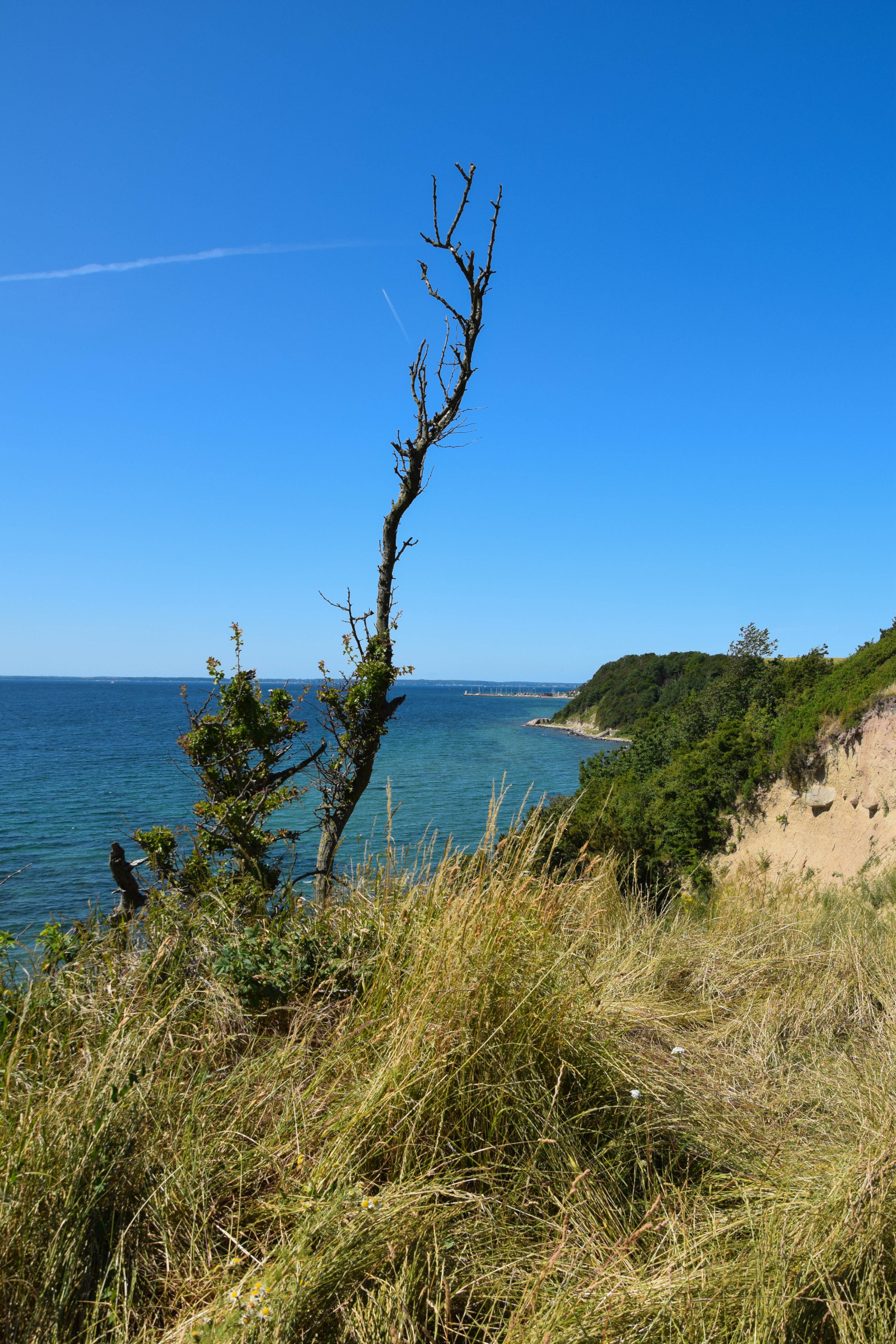 krajina, moře, záliv, kopec, jezero, voda, Skála, Příroda, pobřeží, jízdní kolo, tráva, nebe, mraky, pláž, pobřeží, útes, ostrov, letní, pelerína, divočina, Švédsko, hřbet, Terén, strom, hora, květ, Pohled, rostlina, oceán, resund, sk ne, venkov, Landskrona, bl nebe, ven, Hven, backafall, vingestig, stezka, místo výskytu, přírodní prostředí, landform, geografický rys, ekosystém, tělo z vody