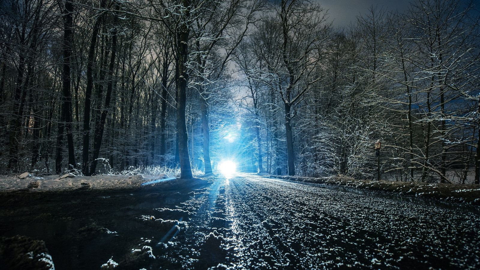 luce del sole, foresta, Fantasy art, notte, la neve, inverno, ghiaccio, mattina, nebbia, brina, Congelamento, leggero, albero, tempo metereologico, stagione, oscurità, 2560x1440 px, fenomeno atmosferico