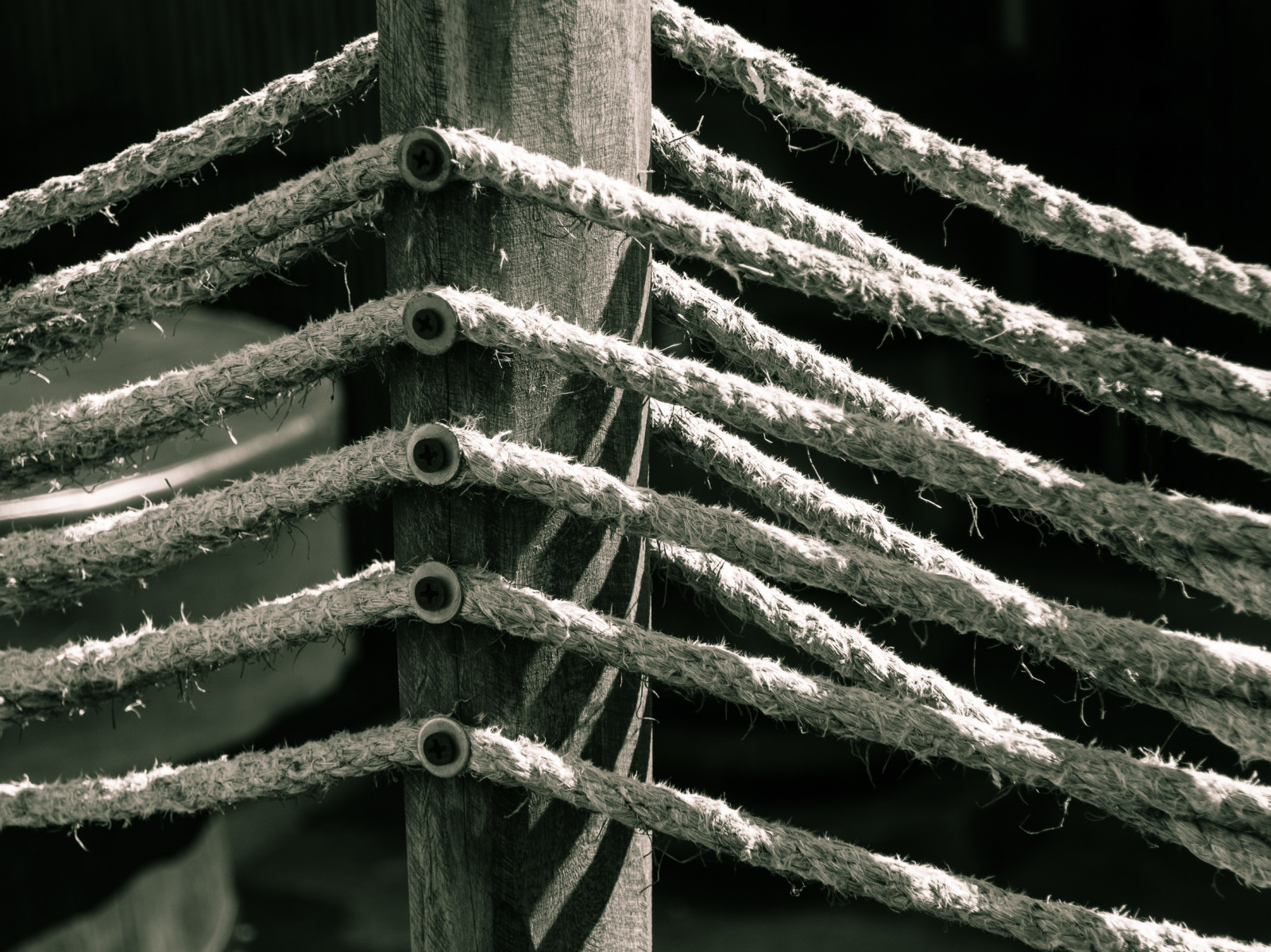 bílý, černobílý, ostnatý drát, stěna, dřevo, větev, plot, tělesné, materiál, čára, lano, Černý a bílý, monochromatické fotografování, zblízka, outdoor struktura, drátěné pletivo, home oplocení