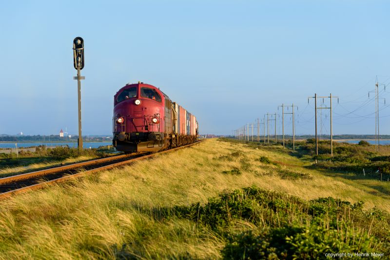treno, trasporto, trasporto ferroviario, traccia, cielo, pianta