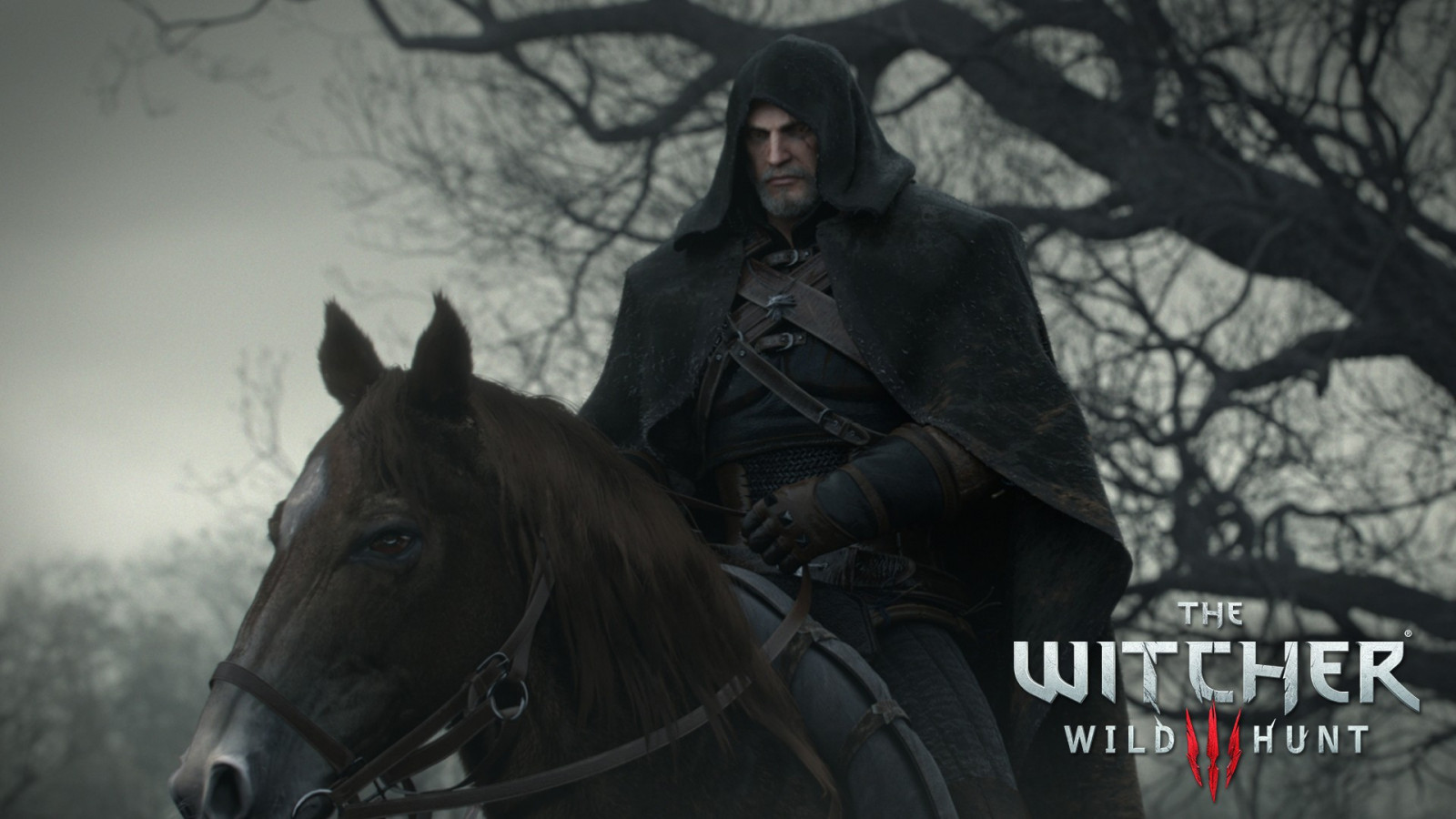 hest, The Witcher, Witcher 3 Wild Hunt, Geralt of Rivia, skærmbillede, fiktiv karakter, hest som pattedyr, hingst, mustang hest