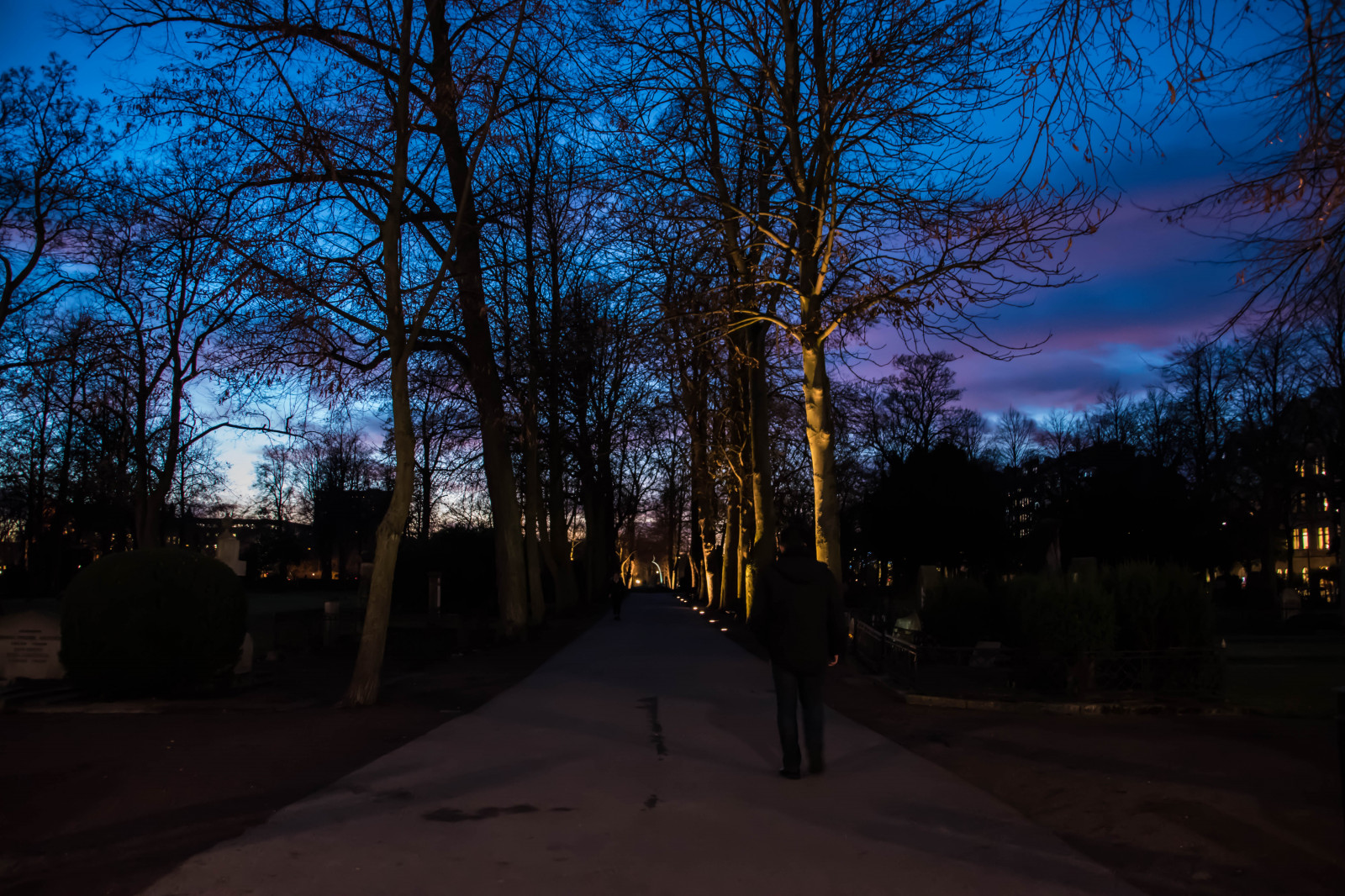 slunečnímu záření, západ slunce, město, noc, Příroda, nebe, zima, večer, ráno, slunce, hřbitov, Švédsko, soumrak, Soumrak, Sverige, Malm, světlo, strom, podzim, bluehour, list, svítání, rostlina, venkovní, cityview, sezóna, osvětlení, sk nel n, se, nebe, stad, skymmning, kyrkog rd, hřbitov, gamlakyrkog rden, tma, dřevina