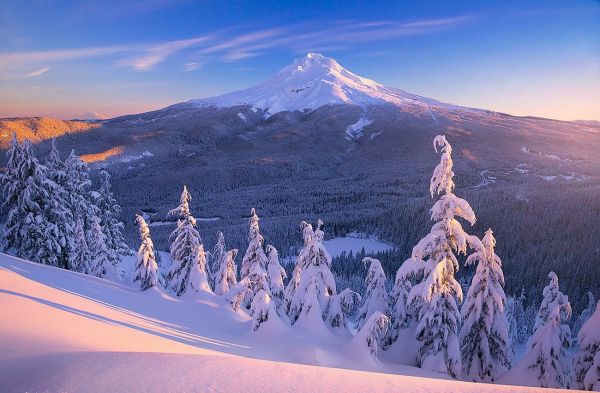 landscape, forest, mountains, lake, nature, snow