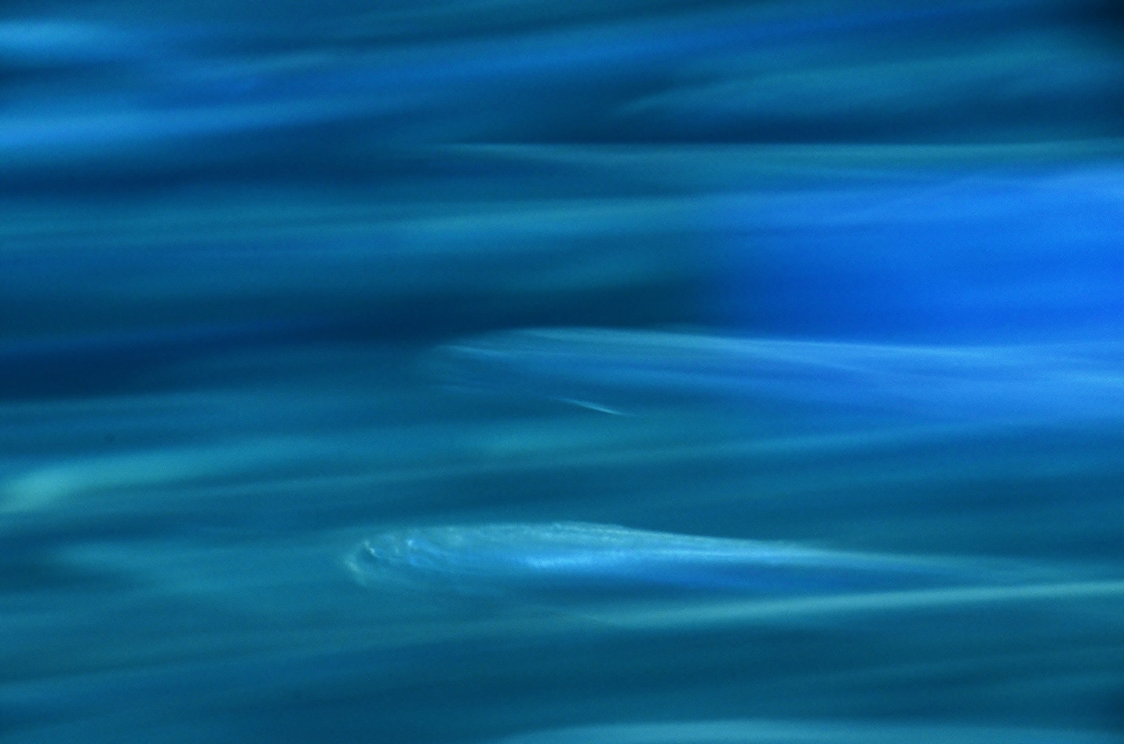 slunečnímu záření, moře, odraz, Ryba, modrý, Pod vodou, atmosféra, rýžování, sardinka, oceán, vlna, počítač tapeta, mořská vlna