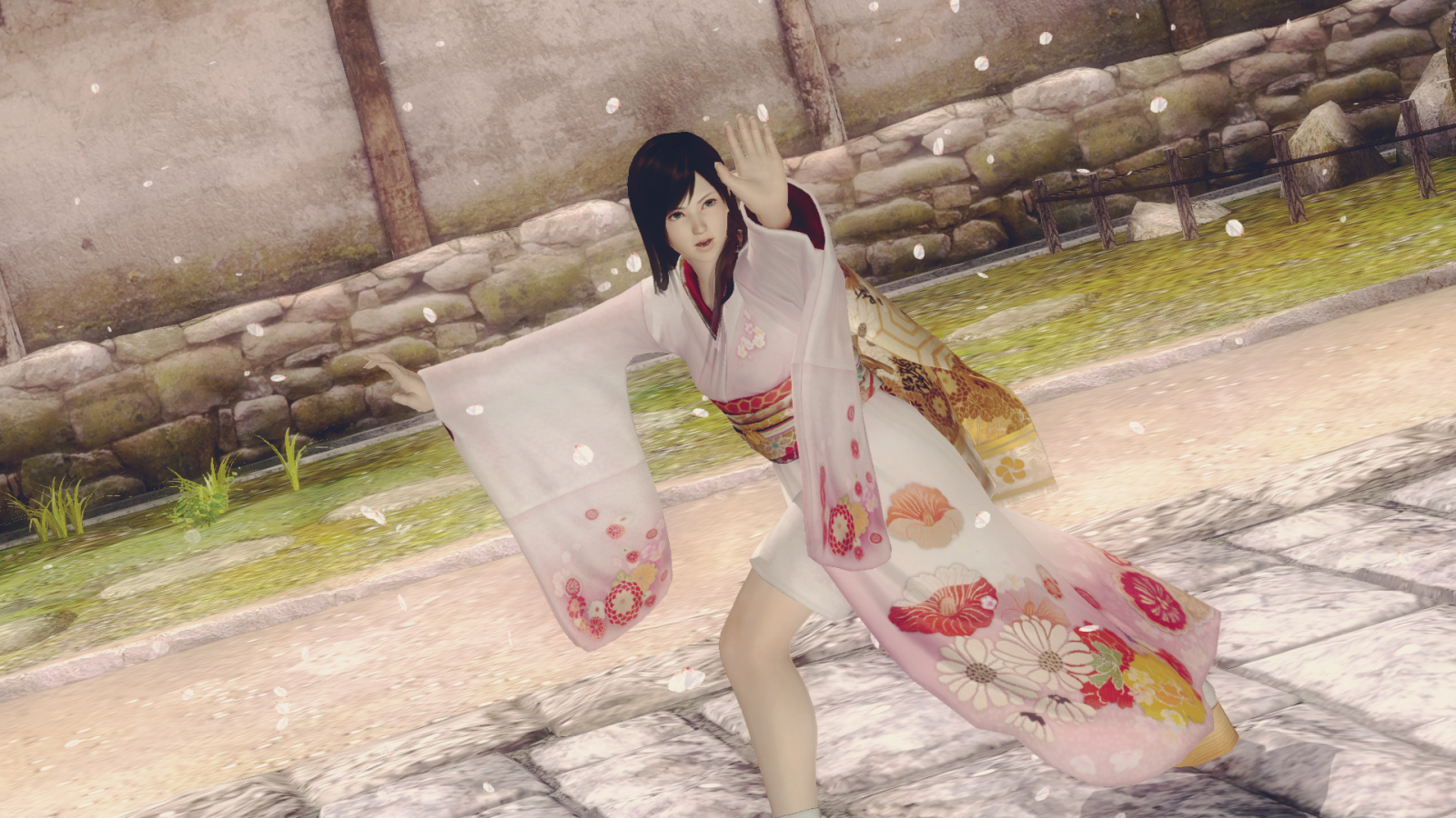 rochie, Modă, arc, Dead or Alive 5, floare, frumuseţe, femeie, picior, imagine