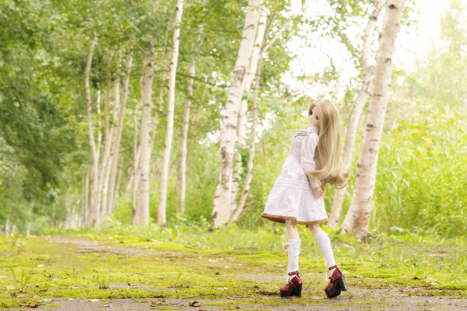 แสงแดด, แนวนอน, ป่า, สีขาว, ธรรมชาติ, หญ้า, การถ่ายภาพ, สาขา, ของเล่น, เส้นทาง, ความสุข, ฤดูใบไม้ผลิ, ตุ๊กตา, ต้นไม้, เด็ก, หญิงสาว, ฮอกไกโด, สนุก, รูปถ่าย, ทุ่งหญ้า, การเพาะปลูก, volks, dollfiedream, ป่าไม้, ครอบครัวหญ้า, toheart2, endofsummer, kneehighsocks, ความสนุก, กระโปรงยาว, purpleeyes, Manakakomaki, Iinchou, honeyblond, ความยาวคลื่น, biei, whitebirch, treelinedstreet, daydreame
