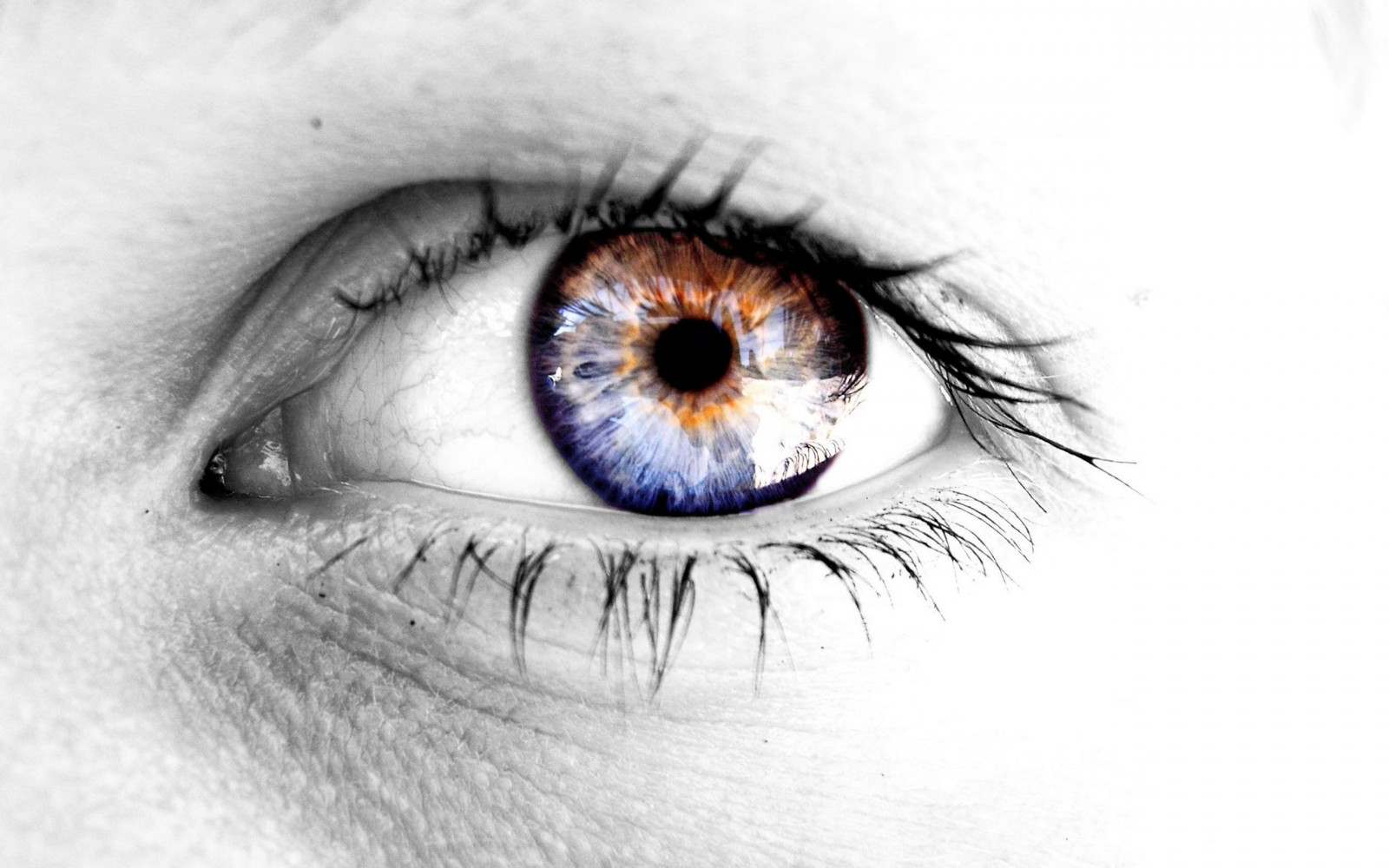 tvář, ženy, černobílý, oči, fotografování, rty, pusa, nos, objektiv, hlava, Duhovka, oko, 2560x1600 px, Černý a bílý, monochromatické fotografování, obočí, Lidské tělo, vision care, orgán, zblízka, řasa, prodlužování řas, kontaktní čočky