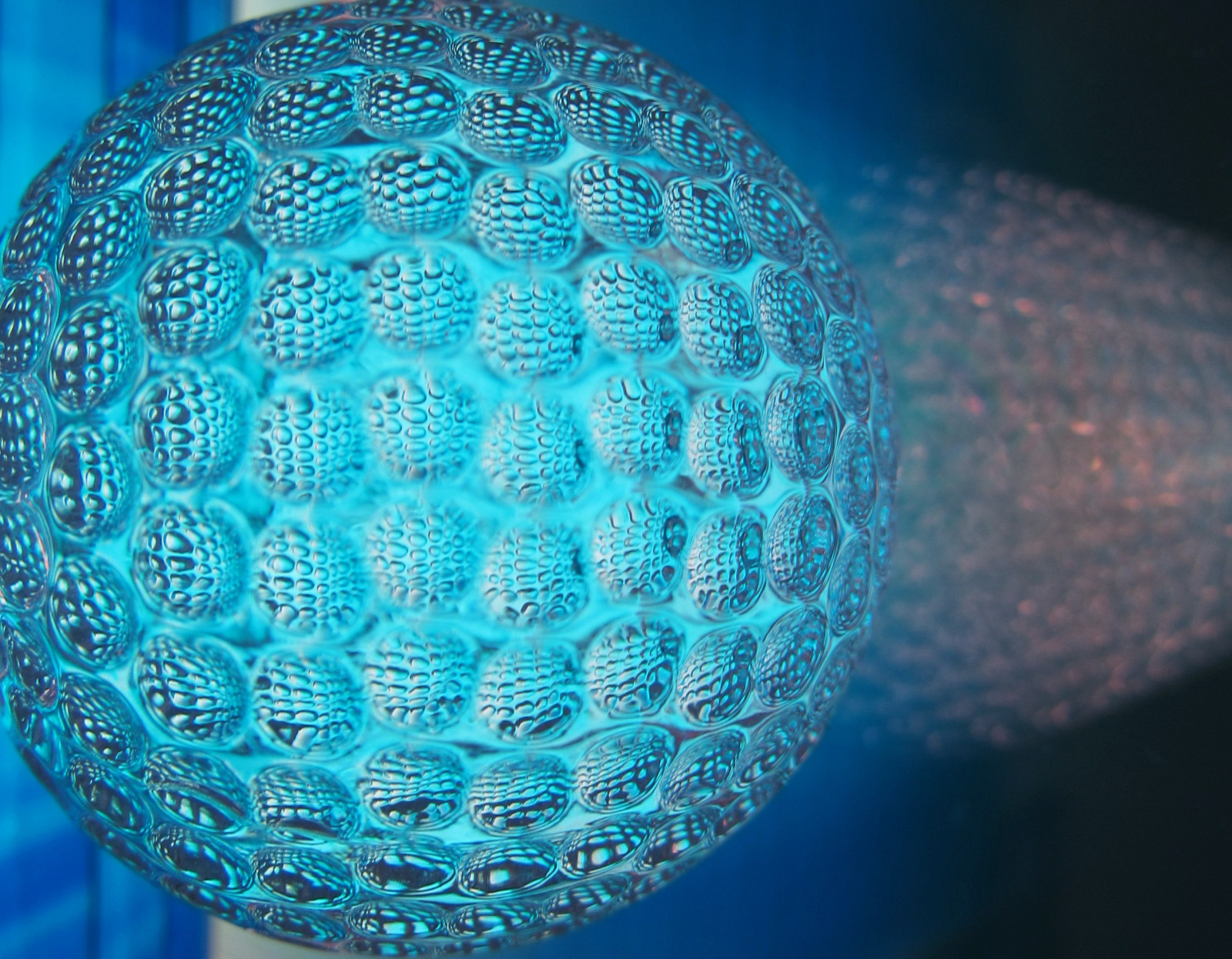 koule, symetrie, modrý, sklenka, kruh, tyrkysový, aqua, Lom světla, bonbón, zblízka, makro fotografie, mořská biologie, organismus, koule, blankyt, koule, STG