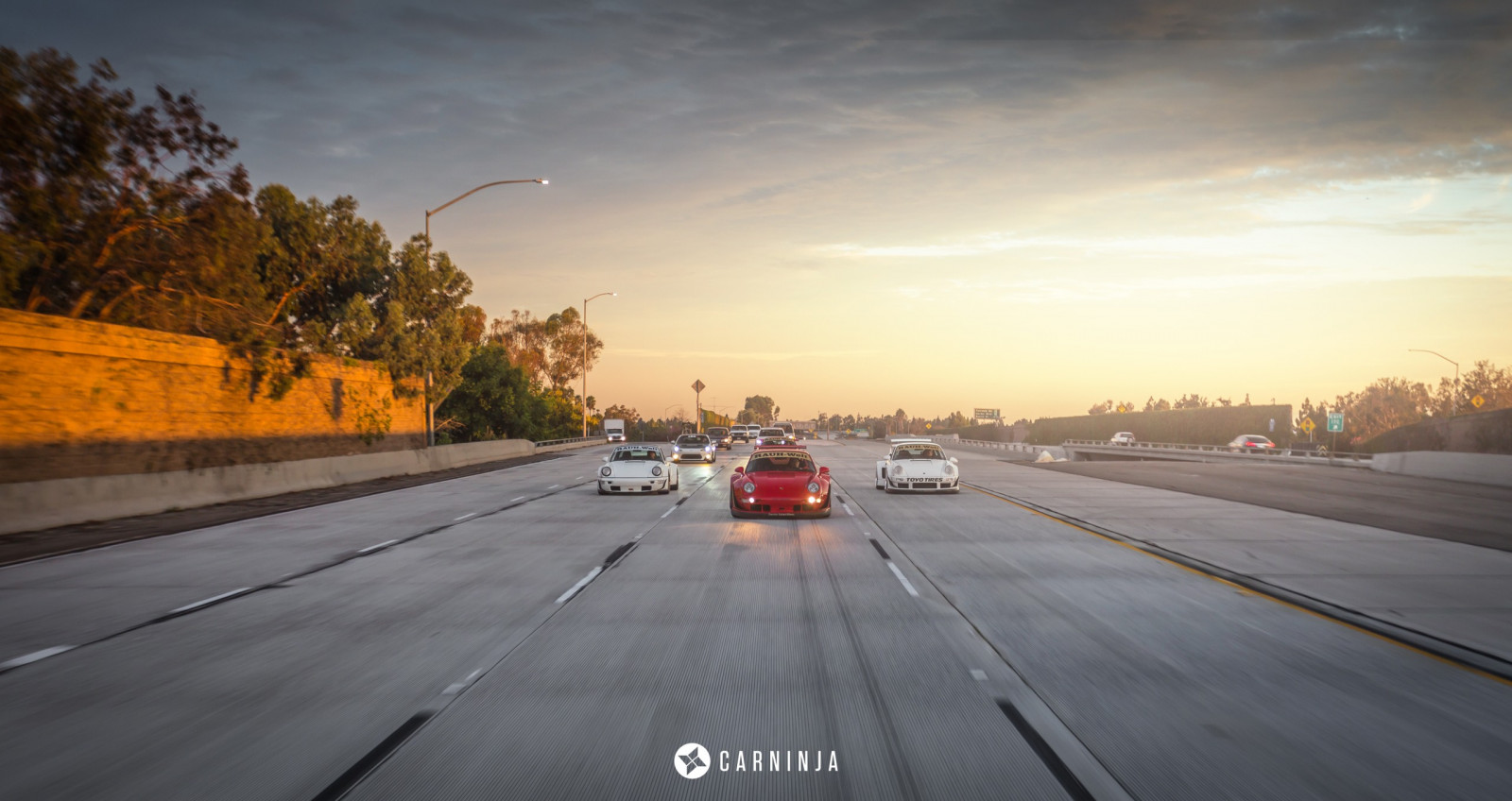 carninja, ulice, nízký, auto