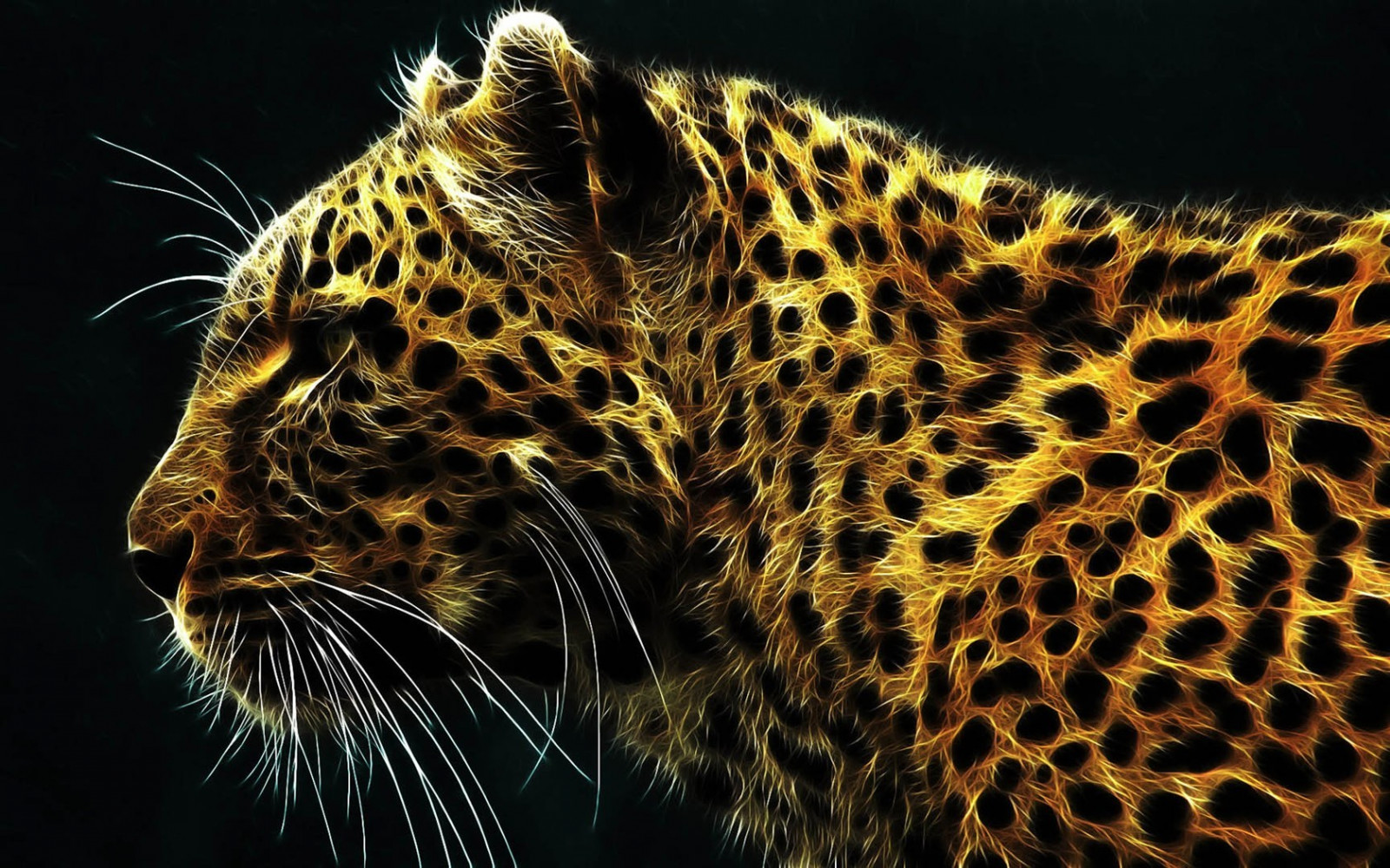 zvěř, Volně žijících živočichů, velké kočky, kníry, leopard, Fractalius, Jaguár, leopard zvíře, fauna, savec, obratlovců, zblízka, kočka jako savci, makro fotografie, savana