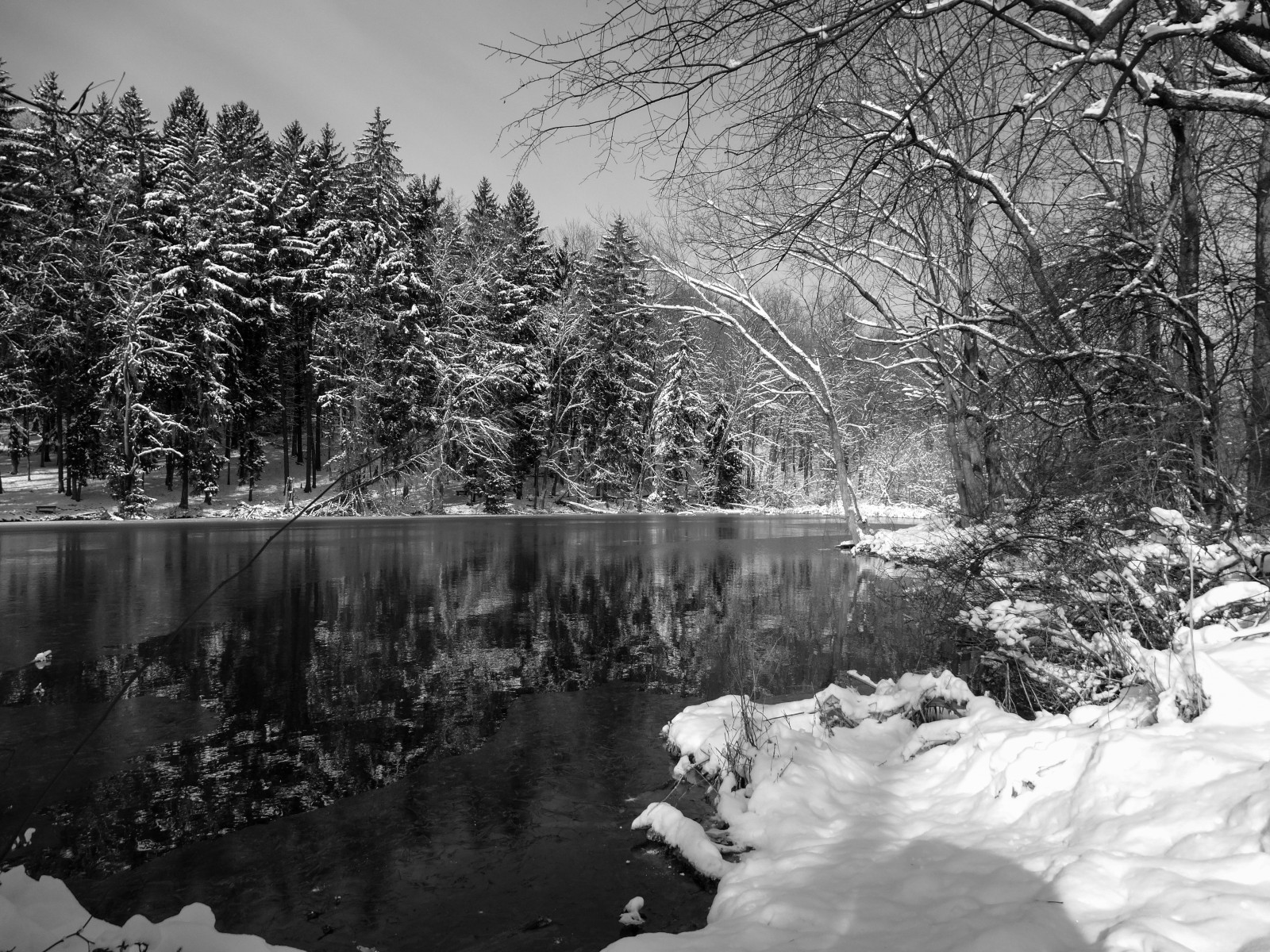 Wallpaper Landscape Forest Lake Water Nature Reflection Sky