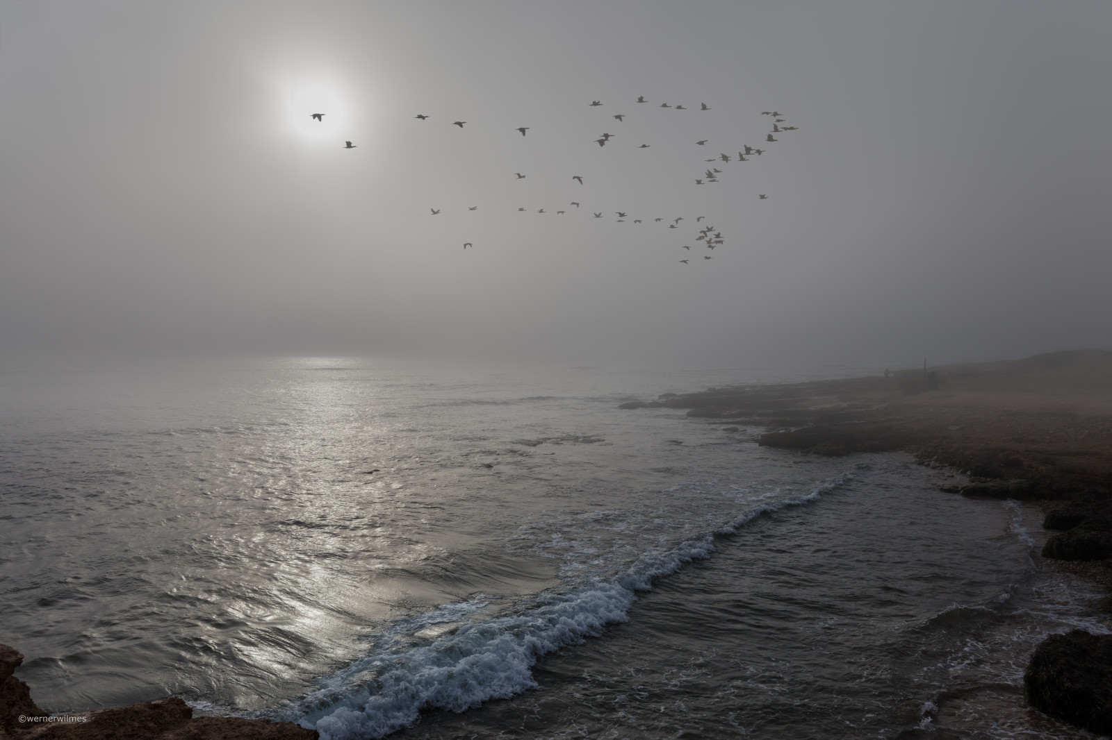 ptactvo, moře, voda, pobřeží, nebe, pláž, svítání, uklidnit, večer, ráno, mlha, vlny, pobřeží, slunce, Španělsko, horizont, atmosféra, opar, slunce, Niebla, mlha, oceán, Kachny, vlna, pramen, vogel, syn, Španělsko, Akdeniz, Olas, Nebel, alicante, espana, alacant, mořská vlna, Wellen, torrevieja, Costablanca, Platja, Marenostrum, Enten, horizont, Patos, orihuelacosta, Pajaros, Orihuela, vogelzug, migraci ndelasaves, birdmigration, coastal and oceanic landforms