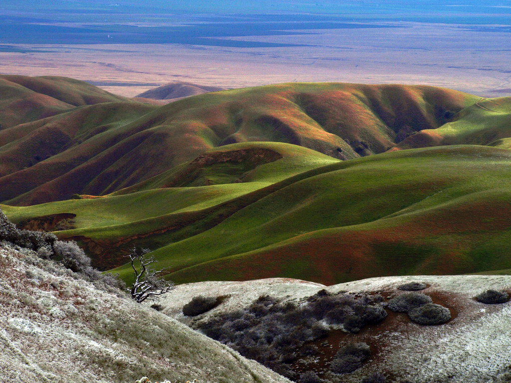 ต้นไม้, แนวนอน, ภูเขา, สัตว์, ดอกไม้, เนินเขา, น้ำ, ธรรมชาติ, หญ้า, ท้องฟ้า, หิมะ, ฝน, ฟิลด์, เมฆ, ภูเขา, ฤดูกาล, พุ่มไม้, อุทยานแห่งชาติ, mount scenery, ลำธาร, ทุนดรา, ที่ราบสูง, การก่อตัว, บริภาษ, ภูมิประเทศ, ภูเขา, ทุ่งหญ้า, แม่น้ำ, ความงาม, การสะท้อน, พืช, ที่ราบ, ทัศนียภาพ, สัตว์ป่า, Soe, ทะเลสาบ, บ่อ, หุบเขา, shieldofexcellence, ไฮแลนด์, ทุ่งหญ้า, ธรณีวิทยา, เขตชนบท, ลักษณะภูมิประเทศที่เป็นภูเขา, ระบบนิเวศ, ลดลง, Badlands, Shrubland, สตรีม, อีโครีเจียน, Brooks, ลาดชัน