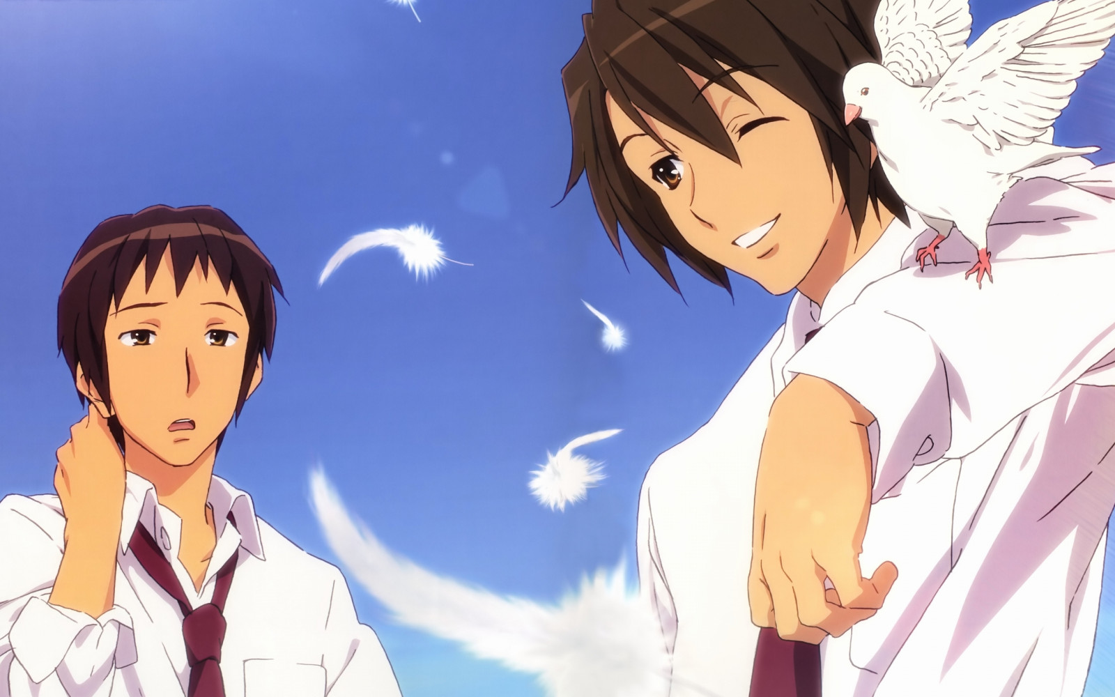 ilustrace, anime, peří, kreslená pohádka, košile, kravata, kluci, holub, Snímek obrazovky, brunety, mangaka