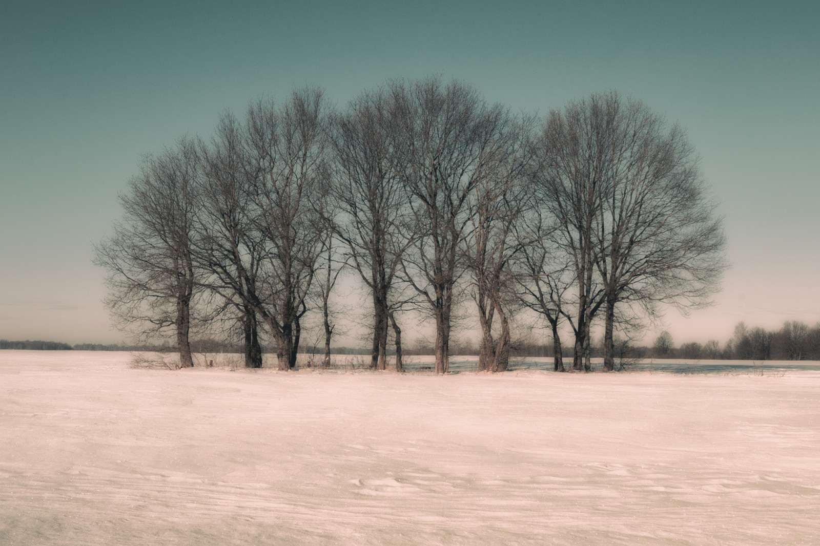 luce del sole, alberi, paesaggio, tramonto, natura, cielo, la neve, inverno, campo, ramo, Alba, mattina, nebbia, brina, Sole, orizzonte, Russia, crepuscolo, Congelamento, Fujifilm, nube, albero, tempo metereologico, alba, pianta, stagione, fuji, Provincia, area rurale, ambiente naturale, fenomeno atmosferico, pianta legnosa, 50faves, Kostroma, XA1, fujifilmxa1