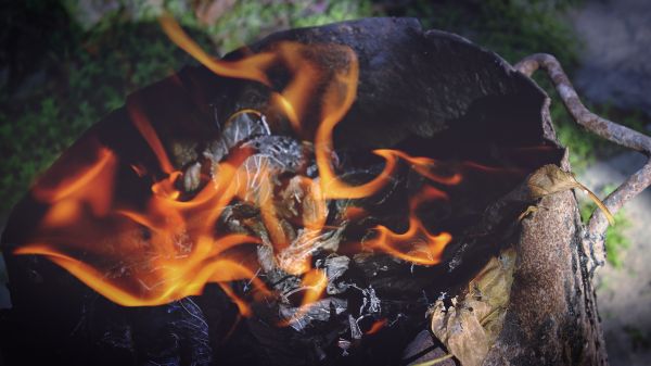 fire,campfire,bonfire,ashes