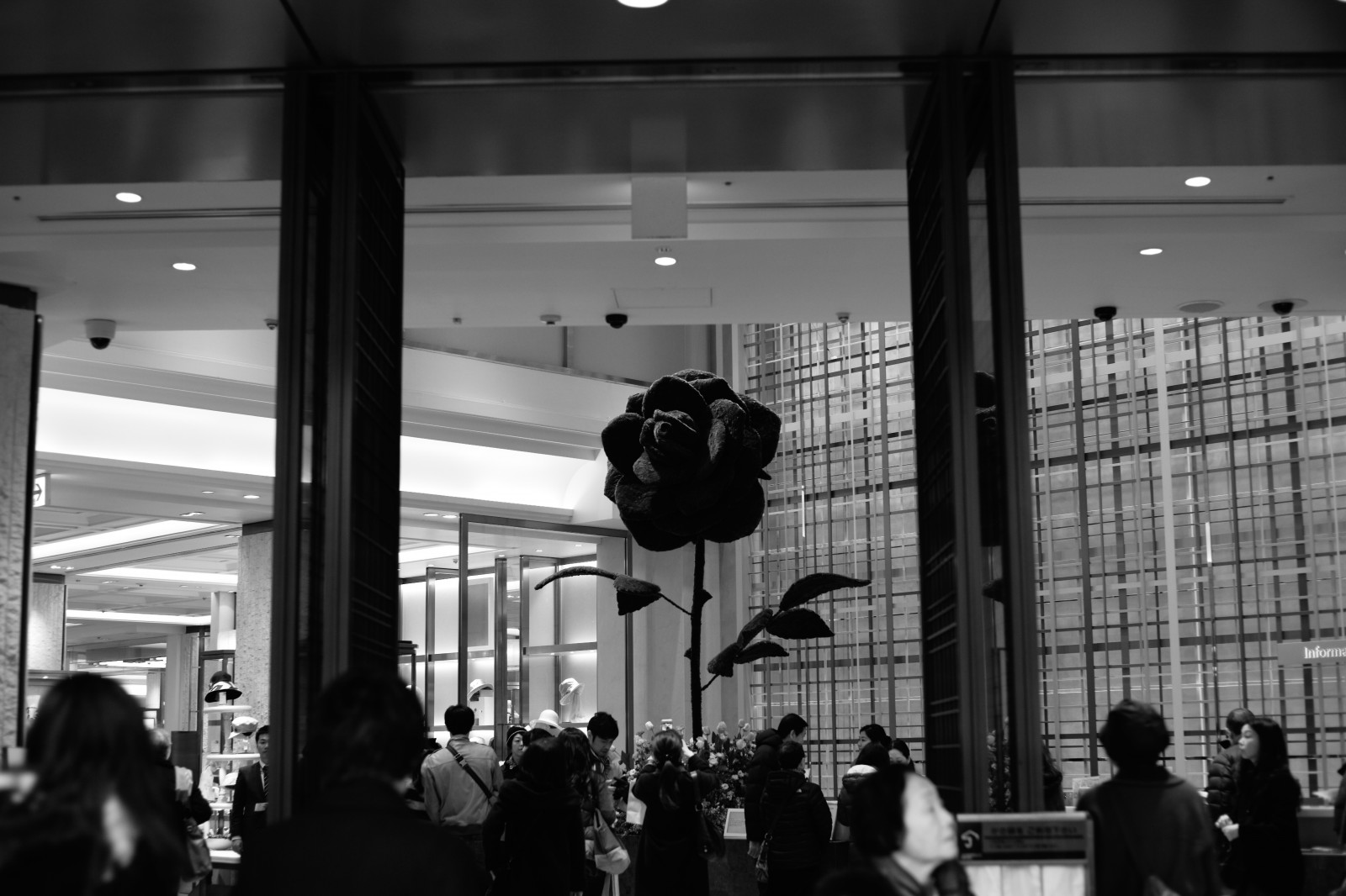 bílý, Černá, černobílý, ulice, silnice, fotografování, Leica, Tokio, infrastruktura, M, tělesné, osvětlení, tvar, fotografie, Zeiss, carlzeiss, dav, Ginza, leicam, typ240, planární, planar250, 250, Černý a bílý, monochromatické fotografování, Film noir