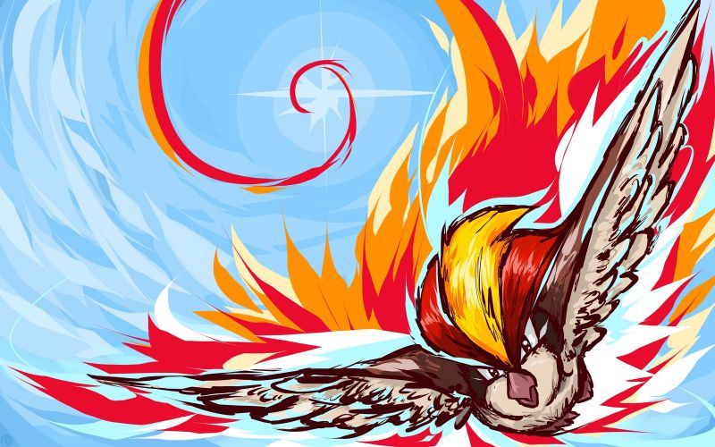 1600x1000 piksel,Pidgeot,Pokemon